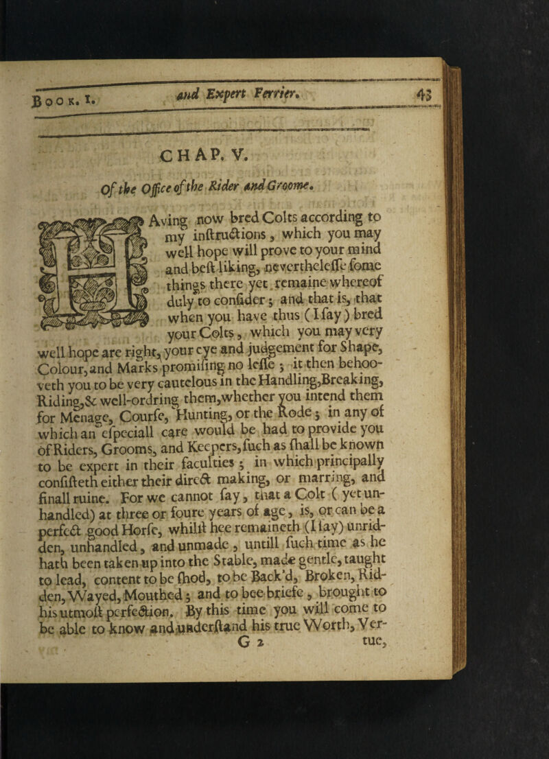 CHAP, V. Of the: Office of the Rider andGroome. Aving now bred Colts according to my inftru&ions, which you may well hope will prove to your mind and beft liking, neverthelclTc fome things there yet remaine whereof duly to confider j and that is, that when you have thus (I fay ) bred your Colts, which you may very well hope are right, your eye and judgement for Shape, Colour, and Marks promifing no lcffe j it then behoo- veth you to be very cautclous in the Handling5Brcaking, Riding,& wellordring them,whether vou intend them for Menage, Courfe, Hunting, or the Rode j in any of which an efpeciall care would be had to provide you of Riders, Grooms, and Keepers,fuch as (hail be known to be expert in their faculties; in which principally confifteth either their direft making, or marring, and finall ruine. For we cannot fay, that a Col-t ( yet un¬ handled) at three or foure years of age, is, pr can oe a perfed good Horfe, whilrt hee remaineth (I lay) unrid- den, unhandled, and unmade, untill fuch time as he hath been taken up into the Stable, made gentle, taught to lead, content to be fhod, to be Back d. Broken, Rid¬ den, Wayed, Mouthed ; and to bee briefe , brought to his utrnolt perfe&ion. By this time you will come to be able to know and uaderftand his true Worth, Ver- G % tue,