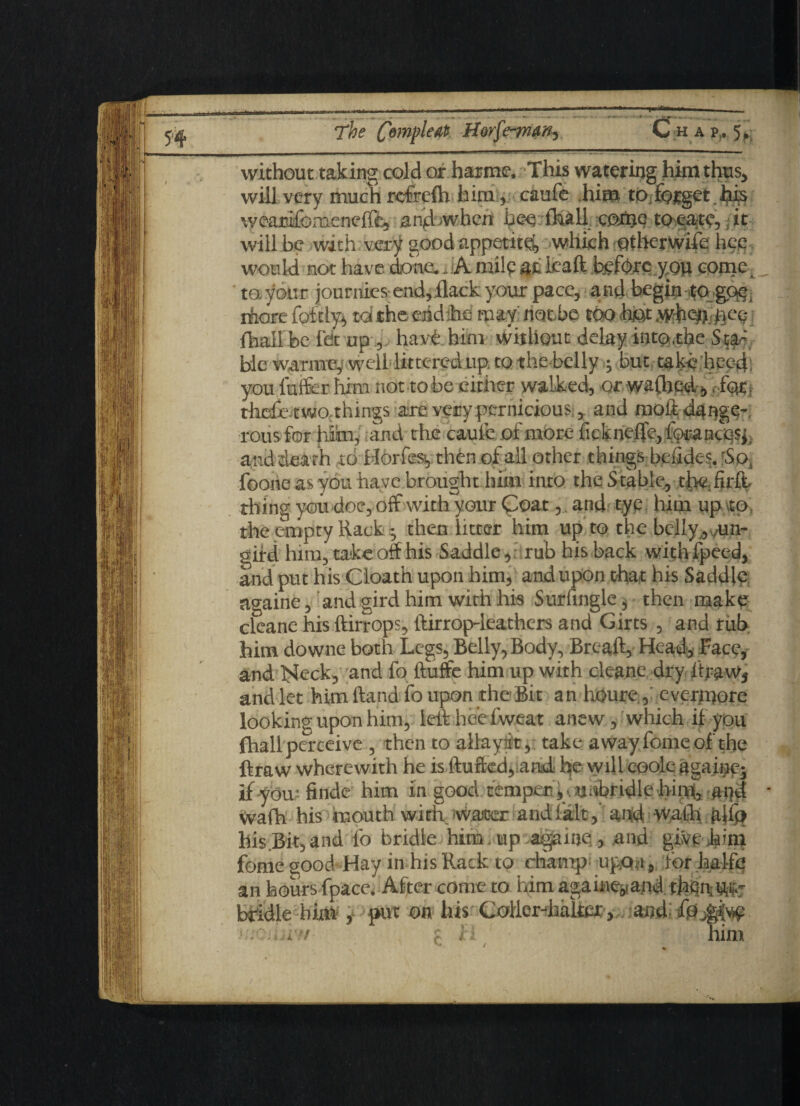 7i&£ ftmple#- Morfe-man-, Chap.. 5, without taking cold ox harmc. This watering him thus, will very much rcfrefh him, caufe him to forget.his wearifomenefft, andwhen bee ftall cohjs? toeare, it will he with very good appetite which otherwise hep would not have done.. A mile at Icaft before you come, to. your journies end, flack your pace, and begin to gog, chore fcftly, tdtheeikhhe may not be too bf» wbc&hec fhall be fee up,. have him without delay into,the Staf ble warms, well littered up to the belly ; but take heed; you fufifer him not to be eitiier walked, orwafhpd,.for, thdfe.twO; things are very pernicious,, and moll dange¬ rous for him, and the caufe of more ficknelfe, forancqs*. and death to Horfesyth&i of all other things bdides. rSo4 foone as you have brought him into the Stable, the firfl. thing you doe, off with your Coat, and tye him up to the empty Rack ; then litter him up to the belly ,,un- gird him, takeoff his Saddle, rub his back with fpeed, and put his Cloath upon him, and upon that his Saddle againe, and gird him with his Surfingle, then make cleane his ftirrops, ftirrop-leathers and Girts , and riih him downs both Legs, Belly, Body, Breaft, Head, Face, and Neck, and fo Ruffe him up with cleane dry ftraWj and let him Rand fo upon the Bit an houre, evermore looking upon him, left bee fweat anew, which if you fhall perceive , then to allayat, take away fomeofthe ftraw wherewith he is fluffed, and he will coolc againpj if you-finde him in good temper unbridle hirfl, ai)d wafh his mouth with waiter and lalt,' and wafh ajfo his.Bit,and fo bridle him. up againe, and give him fome good Hay in his Rack to champ upon, for faalfe an hours fpace. After come to him againeyandtbbntdftr bridle biitty put on his Collerdaaker, an d £04$*^ ' . . ? I'i him