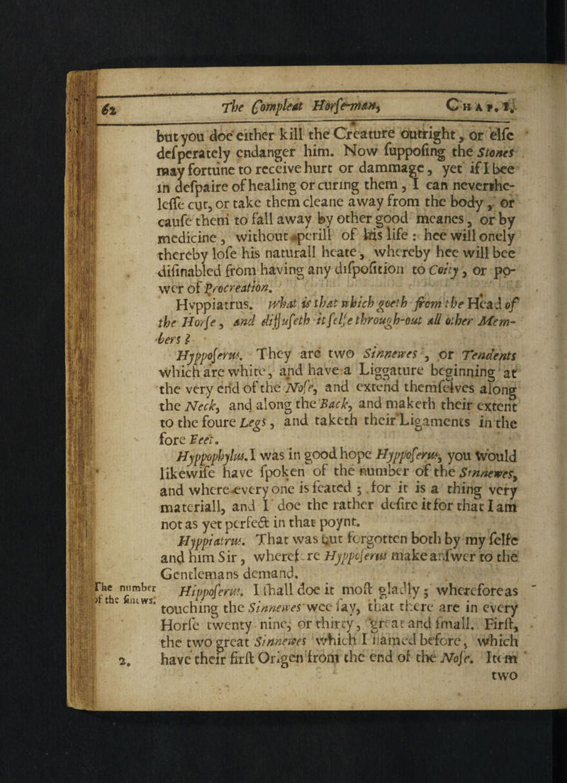 _______—--f-jr-—-— but you doe either kill the Creature outright, or elfe defperatcly endanger him. Now fuppofing the stones may fortune to receive hurt or dammagc, yet if I bee in defpaire of healing or curing them, I can neverthc- lelfe cut, or take them cleane away from the body , or caufe theni to fall away by other good meancs, or by medicine , without peril 1 of his life : hee willonely thereby lofe his naturall heate, whereby hee will bee difinabled from having any difpoiitiou to Coicy, or po- wer of procreation. Hvppiatrus. jvhat is that nhichgoeth from the Head of the Horfe , and dijjufeth it ft Ije through-out all other Mem¬ bers l . Hyppofrm. They are two Sinners e$ 5 or Teadents which are white, and have a Liggature beginning at the very end of the Nofe, and extend themfdves along the Neck, and along the Back, and makerh their extent to the foure Legs, and taketh their Ligaments in the fore Feet. Hyppophylm.l was in good hope Hyppoferwy you Would likewife have fpoken'of the number of the Smne*re$y and where-every one isfeated ^ for it is a thing very materially and I doe the rather defire it for that I am not as yet perleft in that poynt. Hyppiatrw. That was but forgotten both by my felfe and him Sir , wherefore Hyppofem makeanfwcr to the *he >F the number fim vvs.' Gentlemans demand. Hippoferut. I {hall doe it mod gladly • whereforeas touching the Sinnewes wee lay, that there are in every Horfe twenty nine, or thirty, ‘great and fmall. Firft, the two great Sinnewes which I Famed before, which have their firft Origen from the end of the Nofe. It< m two