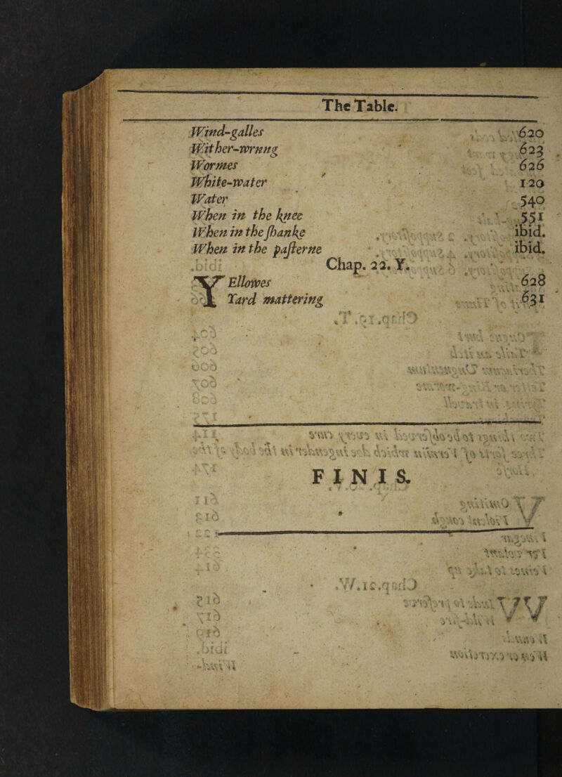 Wind-galles Wither-wmng Wormes White-water Water When in the knee When in the flianke When in the pajierne Chap. 2 i. Y. Ellowes l Yard mattering t., * 4 -- ©. .f? f i Vv V . v i ,L i . R T *- i, r,- io. . QKH • - ■ Vx'.V-VV, V f.T F INIS. c 1 \ >: t T *-T \ / -w;; ■ tty ml V ?>* 'ttiTAV;. » O ^ *- V r\ r» I * • * ■*+ . ■«■ ^ e J 4 V/ac.oorl J x ‘v_ ■ A'/ ^ j ; Jr Aw / , / ■yyy>\;'vyyy,!\\