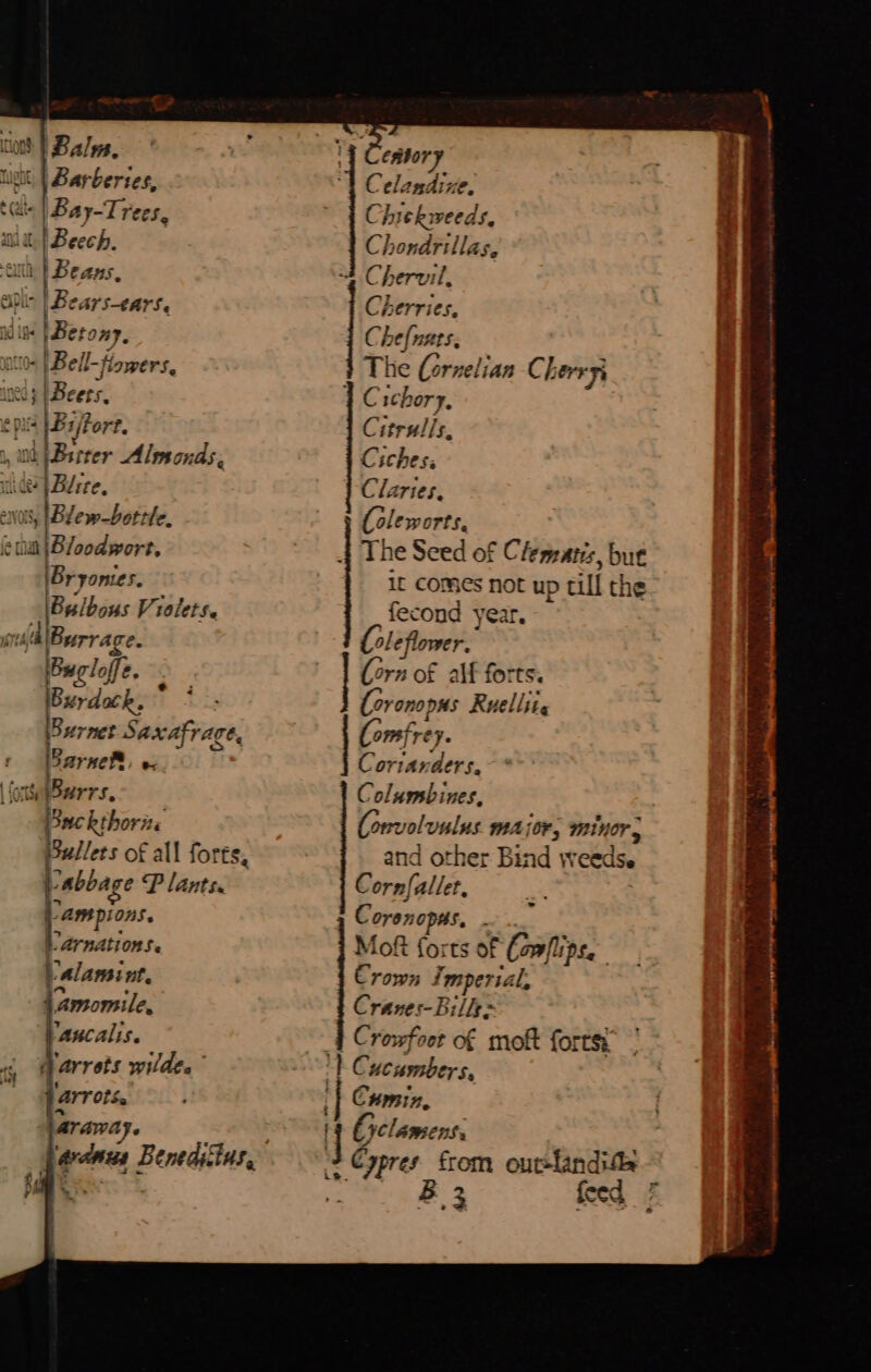 Bales. Barberies, Bay-Trees, t | Beech. ) | Beans. - | Bears-ears. lie om v« | Bell- fiowers, ip |Be seryt i | Bsrrer Alssonas e ‘, |Blew-bottle. il Bioodwore: Bryomies. a sre Violets. Bug! off. Burdock, ~ Burnet Seca ATE, SarneR, ween toe 7 Buckthorite Pullets of all forts, -abbage P lants. | ampions. larnations. y Alansint. {amomile, pancalis. i arrets wilde. ATT Ot, araway. wy — estor Celandixe, Chie weeds, Chondrillas, Chervil, Cherries, Chefnats, ides (Cornelian Ch erry C itrulis. Ciches: Claries. (oleworts, 4 The Seed of Clematis, bue It Comes not up till the Feet year. {ol eflower. (orn of alf forts. presieee Ruelliig Omi rey | Corian ie Columsbines, (onviolunlus major, minor, and other Bind weedse Cornfallet, Coren OPS. . Moft forts of Conflips. Crown Imperial, Cranes-Bille= Crowfoot of moft forts. 4 C. ucumbers, Cumin, ] Cjclamens; B 3 feed a Ere Ay Pee ee, aii &gt;. ations t=. we ee eee eee ee