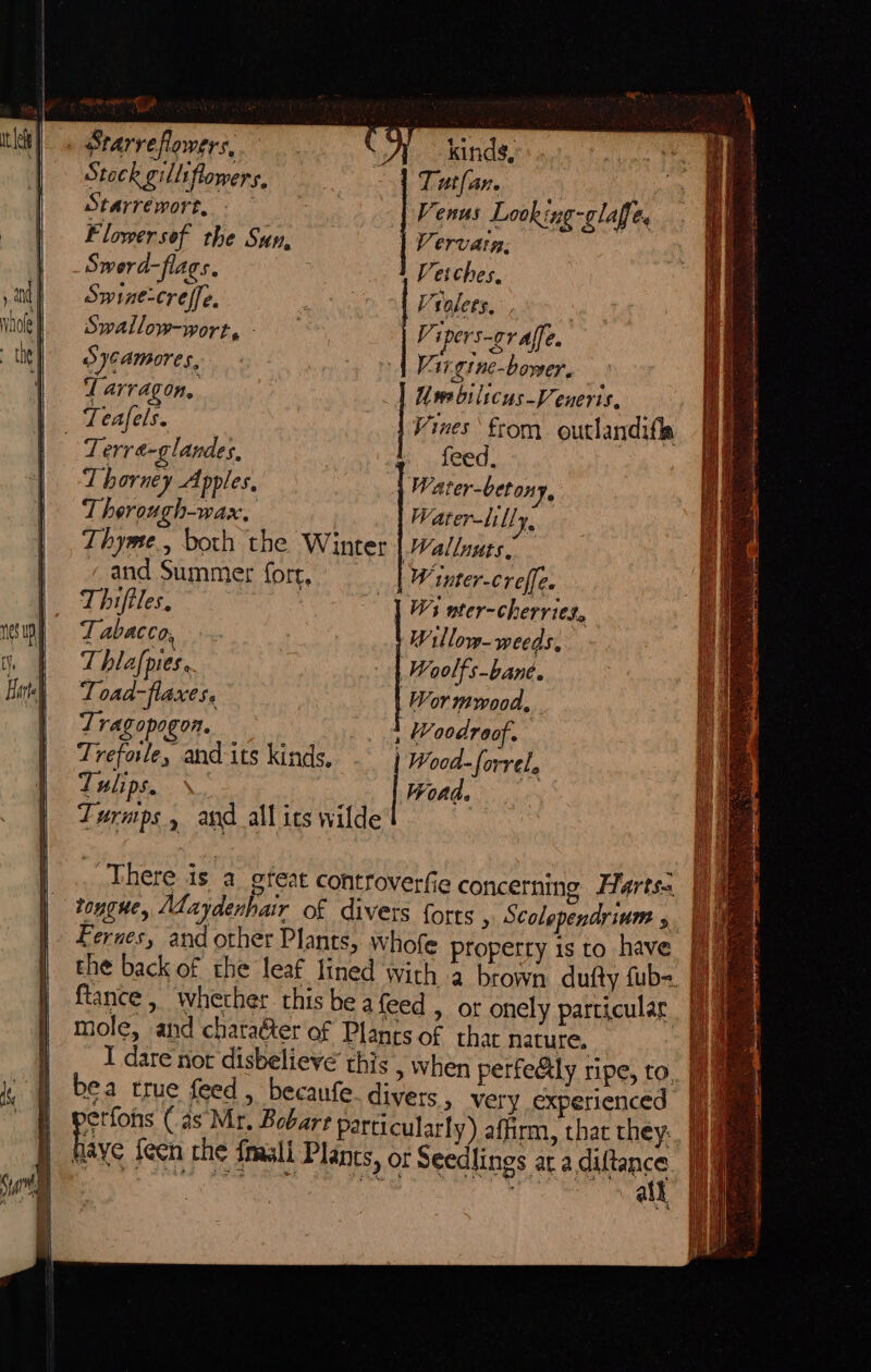 Starreflowers, : A kinds, Stock gilliflomers, | Tatlan. Starrewort, . — || Venus Looking-glaffe, Flowersef the Sun, | Vervarn. Swerd-flags. Vetches, Swine-creffe, ny Violers, Swallow-wort,- Vipers-graffe. Sycamores, Vargine-bower. Tarragon, |] Uwe bilicus-Veneris, Teafels. Vines from outlandifla - Terre-glandes, feed, T horney A pples. Water-beton 17, Therough-wax, Water-lilly, Thyme, both the Winter Wallouts, «and Summer fore, W inter-creffe. Thiftles, | Wi ater-cherries, Tabacco, Willow- weeds, T hlafpres.. | Woolfs-bane. Toad-flaxes. | Wormwood. Tragopogon. : | Woodroof. Trefole, and its kinds, . ) Wood- forrel. Tulips. \. Ponds 0 Lurmps , and all ics wilde There is a ofeat Controverfie concerning Harts. 7 tongue, Maydanhair of divers forts , Scolependrinm 5 | Fernes, and other Plants, whofe properry is to have the back of the leaf lined with a brown dufty fub= ftance , whether this be a feed , or onely particular mole, and chatater of Plants of that nature, erfohs (as Mr. Bobart Particularly) affirm, that they: | Be feen the fasli Plants, or Seedlings atadiftance. |i