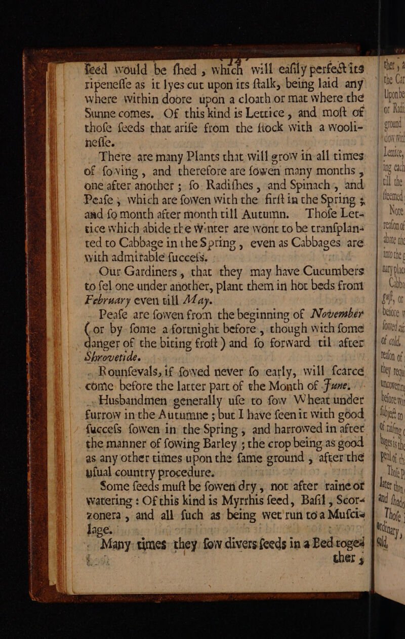 feed would be thed , which will eafily perfect its ripenefle as it lyes cut upon its ftalk, being laid any where Within doore upon a cloath or mat where the Sunne comes. Of this kind is Letrice , and moft of thofe feeds that arife from the fiock with a woolt- nefie. There are many Plants chat will grow in-all times of fovinig , and therefore are fowen many months , one after another ; fo. Radifhes , and Spinach, and Peafe } which are foen with the firft in the Spring 3 aad fo month after month till Autumn. Thofe Ler tice which abide rke Wnter are wont to be tranfplan- ted to Cabbage inthe Spring , even as Cabbages are with admirable fuccets. - Our Gardiners, that they may have Cucumbers to fel one under another, plant them in hor beds fromt February even ull ALay. - Peafe are fowen from the beginning of November (or by fome a fortnight before, though wich fome dariger of the biting froft) and fo forward ttl. after _Shrovetide. | Rounfevals, if fowed never fo early, will {carce come: before the Larter part of the Month of -Fune, _» Husbandmen generally ufe to fow Wheat under furrow inthe Autumne ; buc I have feenit with good fuccefs fowen in the Spring , and harrowed in after yfual country procedure. Some feeds muft be foweti dry, not after raine of lage. ti 4 “ thet , 4 the Cat nd oround ground A Ieuon of UY requ Core wi ay, AS sth