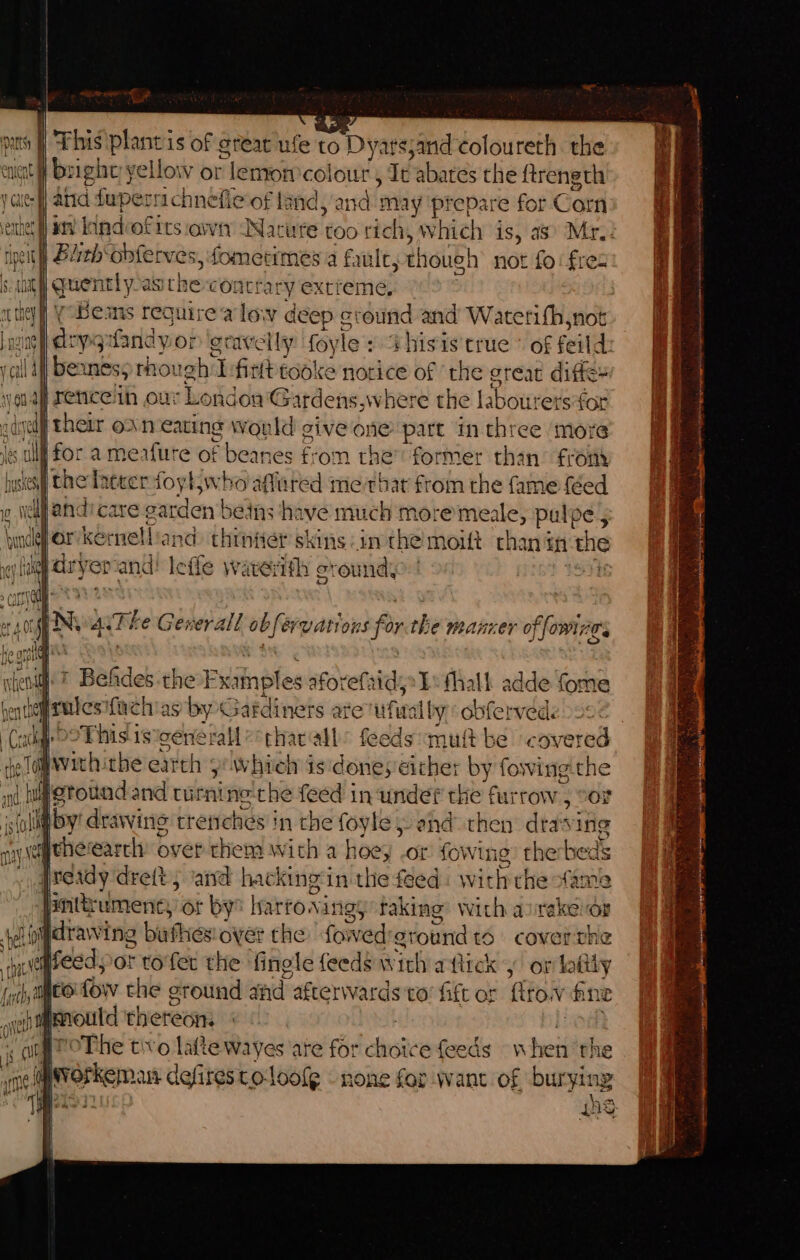 ae This plantis of great ufe to Dyars;and‘coloureth. the bright yellow or lemon vee, Te abates the ftrength yc i atid i fupertic hnefie of land, a arte may prepare for Corn birth obferves, fomermes a fault, though not fo: fres | quently aig thes contrary extreme, | reticelih our London 'Gardens,where the labourers'for itheir oan eating would give one part in three more : “dl fo: ameafure of be eanes from rhe’ former than fron k Kes the laceer foytjwho aflured me thar from the fame {eed andi care sarden| eins have much moremeale, pulpe, Vorkernelliand. thinier skins in the moift chan’ int the ¢ a dryer and! leffe waverith cround, elt ? Befdes the Ewa nples aforefatds&gt; Lb: thal adde fome rules fachias byG pakdiners are ufite alby obferved. aiige 22 This 1s.¢enerall etharall: feeds:mutt be covered he A whithe earth y.whieh is dones cithe: by fowing the yf, wygtound and curnine-che feed in undef the furrow , cor s(olligiby' drawings: trenches in the foyle }- ahd then dtavine ay aqthewarch over chem with a hoey .ot fowing) the beds “&lt; gready drett; and hacking‘in the feed. with che fame Finttumene, or by Warrovings taking with asrake oF ‘3 Ll idtawi ing bi fhesiover the fowed eround to coverthe Med, or torfer the ‘fingle feed§ wich a flick y or latily hi alico.fow che eround and afterwards'to’ fitt or fro fine _ihfmroutd thereon. | POG roThe tivo latte wayes are for choice feeds “when the ye pstcsnas defires toloofe none for want of burying ‘i