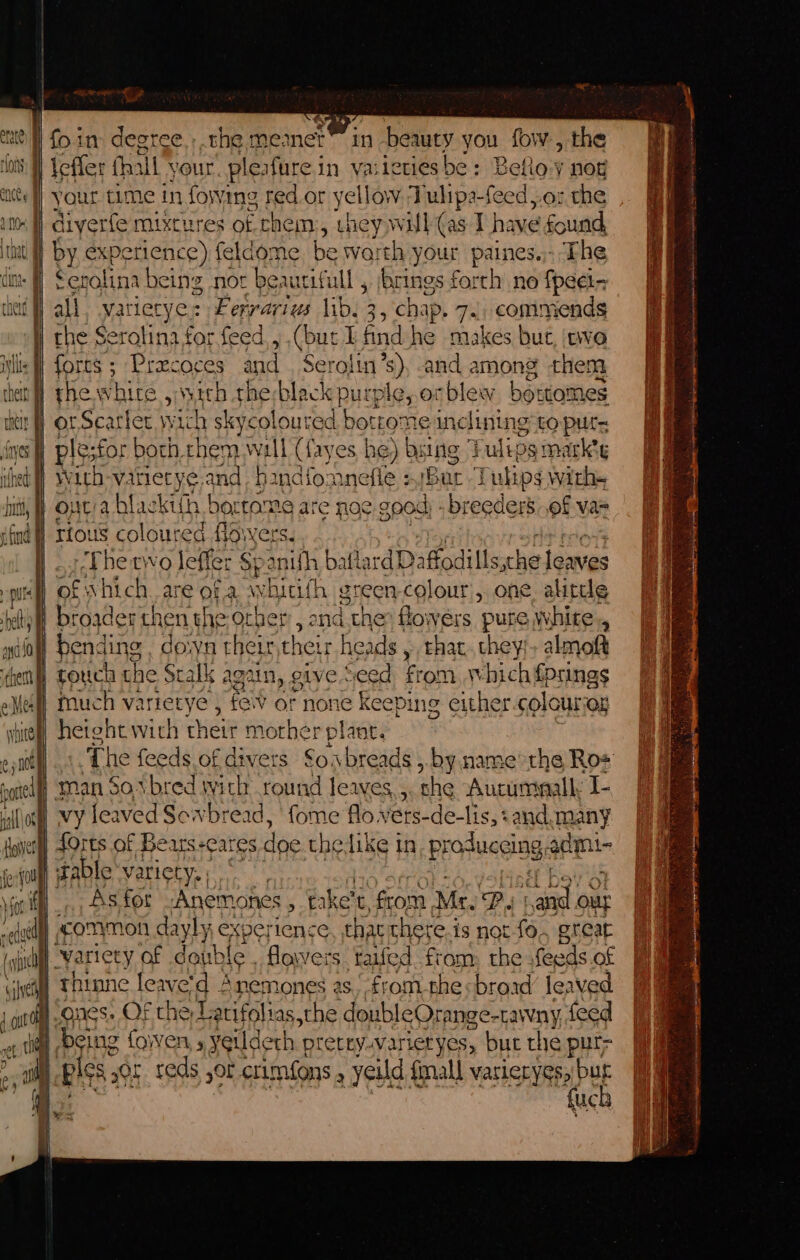 my welt ‘them | leffer thal your. pleafure in varieties be: Betlo-y nog your time in fowime red.or yellow Tulipa-feed or the diyerfe mixtures of chem, they will (as I have found, Serolina being not beautifull , jacings forch no fpeei- all. varierye: Ferrarius libs 3 3, chap. 7... commends the Seralina for feed,, ,(but ; find he makes but, ‘ave forts ; Praecoces and Serolin’s), and among them or Scarier wich skycoloured bottome inclining to pute ple;for both them wall (ayes he) bsing Tulips markte LIE a hlackith bertame are nae 3004) - breeders of vas rious coloured es vers. (The two Jeffer § c anit ih baflard Daffodills,che leaves touch the Stalk again, give Seed from which fprings much varietye , fe or none 2 Keeping either colours height with Thew mother plant, man So\bred with round leaves, ,. che Aucummall: I- aa leaved Sowbread, |‘ fome flo.vers-de-lis, tand,many As for Anemones fe ke t, core Me. P ante out «common dayly experience, thar there is not ies great variety of double , flowers taifed from, the feeds of fuch mips g Lue iar a ee