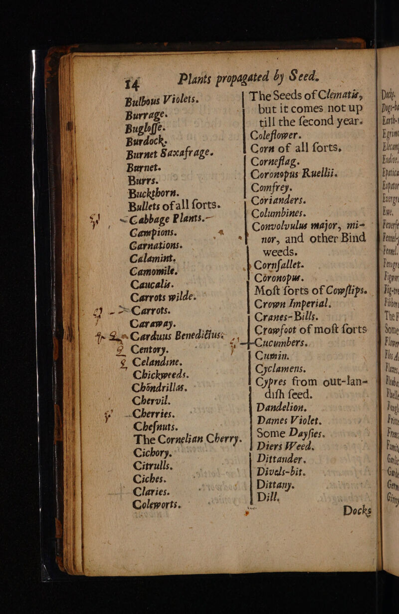 Bulbous Violets. The Seeds of Clematis, Burrage: but it comes not up Bugloffe. till the fecond year. Burdock- Coleflower. Burnet Saxafrage. Cora of all forts. Barnet. | Corneflag. Burrs. Coronopus Ruellii. Buckthorn. Comfrey. Bullets of all forts. Corianders. is . ~ Cabbage Plants.- Columbines. ; Gampions. a | Convoluulus major, mi= Garnations. *{ nor, and other Bind Calamint. weeds. Camomile. Cornfallet. Caucalis. Coronopus. Carrots wilde. Moft forts of Cow/lips. 2). >= Carrots. Crown Imperial. j Caraway. Cranes- Bills. 4n 2. Carduus Beneditiuss: , Ie awfoot of moft forts 8 Centory. 7 <,'=-Cucumbers. ¢ Celandine. Cumin. Chickweeds. Cyclamens. | Chindrillas. Cypres from out-lan- Chervil. dith feed. ¢) _. Cherries. Dandelion. Chefunts. Dames Violet. The Cornelian Cherry. some Dayfies. Cichory. Diers Weed. Citrulls. Dittander. Ciches. Divels-bit. Claries. Dittany. Coleworts. Dill. | Loergr i Eve, Fever Femel BS Temnl, Feng Eigpir 4 et Fibber Thek Sotne Floge Bhs 4 7 Ue | Pe Tel