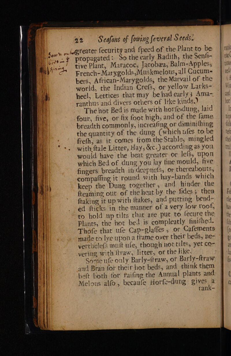 Sow W ou ; 309 ue f propagated: So the early Radith, the Senfi- tive Plant, Maracoc, Jacobea, Balm-Apples, French- Marygolds,Muskmelons, all Cucum- bers, African-Marygolds, the Marvail of the world, the Indian Crefs, or yellow Larks- heel, Lettices that may be had early 3 Ama- ranthus and divers others of Irke kinds.) The hot Bed is made with horfe-dung, laid breadth commonly, increafing or diminilhing the quantity of the dung (which ufes to be freth, as it comes from the Stable, mingled with ftale Litter, Hay, &amp;c.) according as you would have the heat greater or lefs, upon which Bed of dung you lay fine mould, five fingers breadth in deepnefs,, or thereabouts, compaffing it round with hay-bands which keep the Dung together , and hinder the {teaming ot of the heat by the fides 5 then ftaking it up with ftakes, and putting bend- ed fticks in the manner of a very low roof, to hold up tilts that are put to fecure the Plants, the hot bed is compleatly finifhed. Thofe that ufe Cap-glaffes , or Cafements made to lye upon a frame over their beds, ne- verthele(s mult ufe, though net tilts, yet ce- vering with ftraw, litter, of the like. Some ufe only Barly-firaw, of Barly-ftraw and Bran for their hot beds, and think them beft both for raifing the Annual plants and Melons alfo, becaufe Horfe-dung gives a tank-