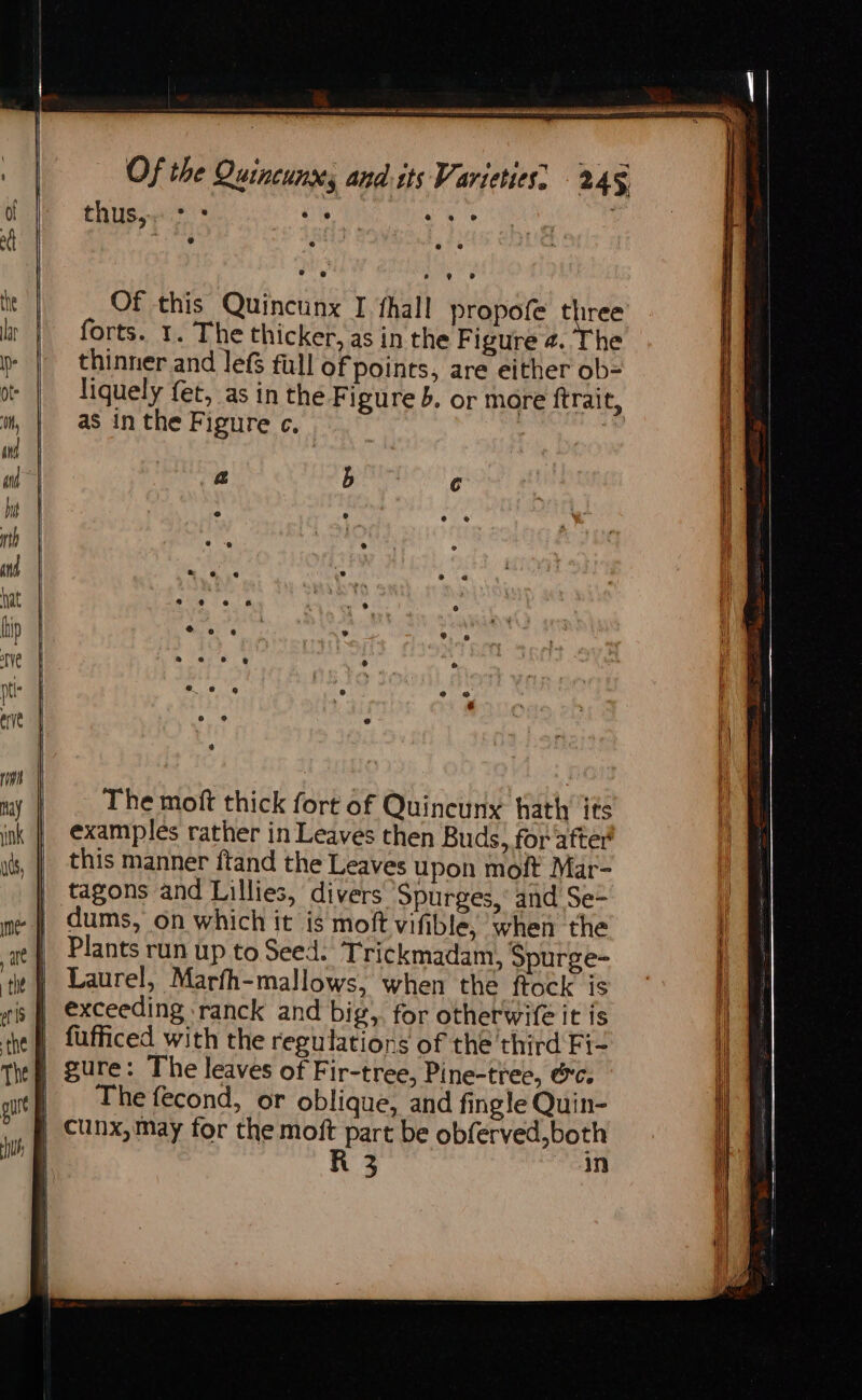 — thus, oe @ ® ae e® e@ ® forts. 1. The thicker, as in the Figure @. The thinner and lefs full of points, are either ob= liquely fet, as in the Figure 5. or more ftrait, as in the Figure c. The moft thick fort of Quincunx hath its examples rather in Leaves then Buds, for after this manner ftand the Leaves upon moft Mar- tagons and Lillies, divers Spurges,’ and Se- dums, on which it is moft vifible, when the Plants run up to Seed. Trickmadam, Spurge- Laurel, Marfh-mallows, when the ftock is exceeding :ranck and big, for otherwife it is fufficed with the regulations of the third Fi- gure: The leaves of Fir-tree, Pine-tree, Oc. The fecond, or oblique, and fingle Quin- R 3 in