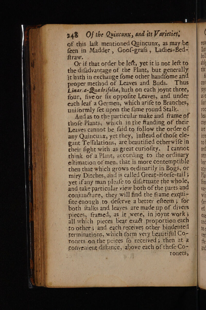 of this laft mentioned Quincunx, as may be feen in Madder , Goof-grafs , Ladies-Bed- ftraw. . Or if that order be left, yet it is not left to the difadvantage of the Plant, but generally it hath in exchange fome other handfome and proper method of Leaves and Buds. Thus Linaria-Quadrifolia, hath on each joynt three; four, fiveor fix oppofite Leaves, and under each leaf a Germen, which arife to Branches, uniformly fet upon the fame round Stalk. Andas to the particular make and frame of thofe Plants, which inthe ftanding of their Leaves cannot be faid to follow the order of any Quincunx, yet they, inftead of thofe ele- gant Teffalations, are beautified otherwife in their fight with as great curiofity. Icannot think of a Plant, acccrding to the ordinary eltimation of men, that is more contemptible then that which grows ordinarily in Bogs, or miry Ditches, and is called Great-Horfe-tail 5 yet ifany man pleafe to difartuate the whole, and take particular view both of the parts and conjuncture, they will find the frame exqui- fite enough to deferve a better efteem ; for both {talks and leaves are made up of divers pieces, framed, as it were, in joynt work 5 all which pieces bear exaét proportion each to other; and. each receives other bindented terminations, which form very beautiful Co- ronets-on the peices fo received; then at a convenient diftance, above each of thefe Co- tronets,