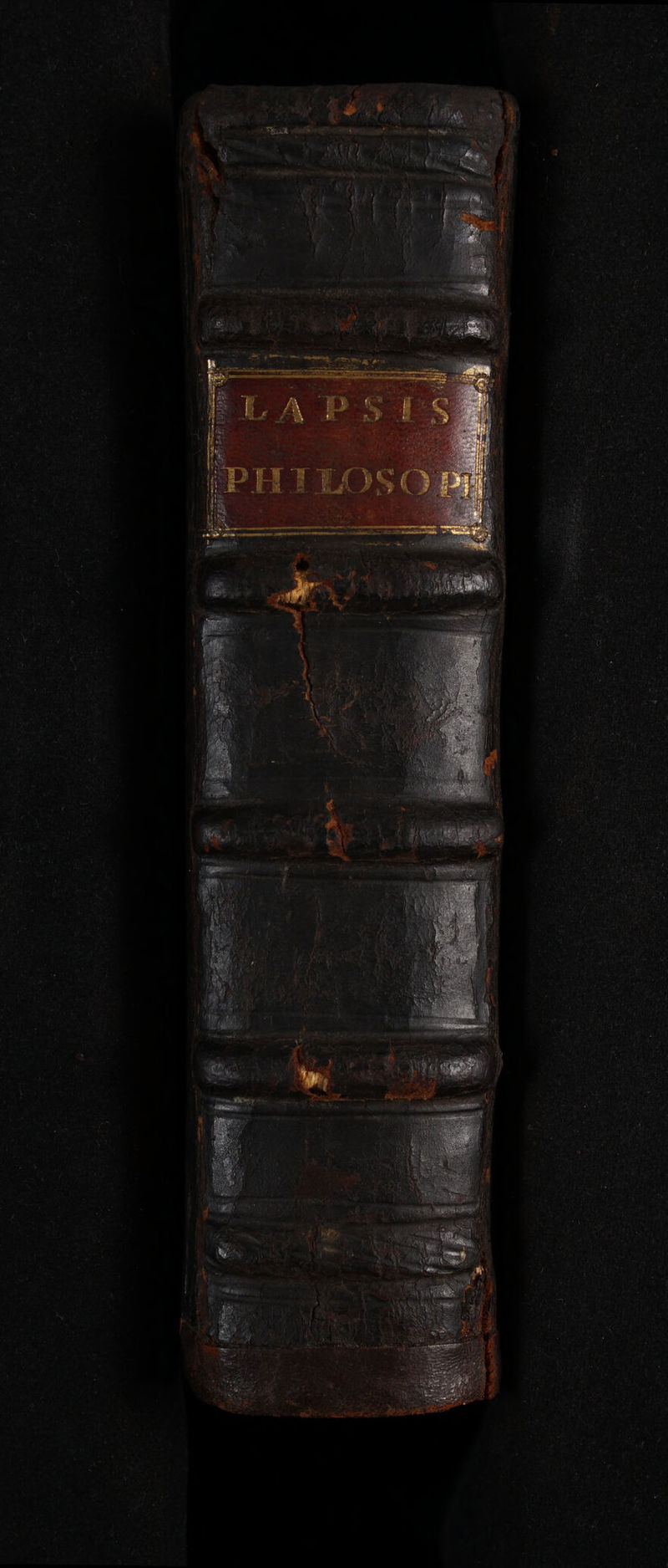 No text description is available for this image