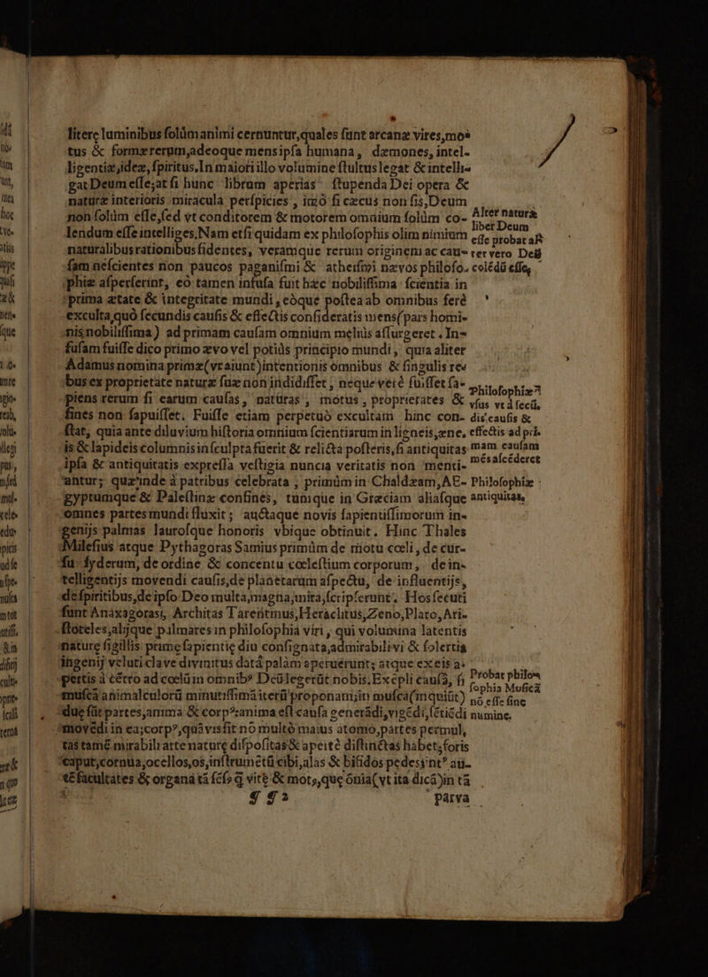 Mi PI um Wt, Int hoc LN. itias ipe ufi 2 Dtfis que T? me pio 'tib, 'olt lle i Uu, vid mi. teles td pics udfe jpte nüíct mtot utiff. &amp;m dic culti prit lcalà terná * litere luminibus folümanimi cernuntur,quales fint arcanz viresmo? 'tus &amp; formxzrermm,adeoque mensipía humana, demones, intel. ligentizidex, fpiritus.In maiori illo volumine ftultus legat &amp; intelh- garDeumeffe;atfi hunc. librum aperias. ftupenda Dei opera &amp; natura interioris :miracula perfpicies , iuo fi cecus non fis,Deum non folim effe,fed vt conditorem &amp; motorem omaium folüm co- Bid D lendum effe intelliges.Nam ctfi quidam ex phiofophis olim nimium 2; obataft naturalibusrationibus fidentes, veramqie rerum origineni ac cau cervero Dei fam nefcientes non paucos paganifmi &amp; 'atherfipi navos philofo. colédü effe, ;phiz afperferinr; eó tamen pras fuit hec nobiliffima fcientia in ;prima atate &amp; integritate mundi, eóque pofteaab omnibus feré.— ' exculta quó fecundis caufis &amp; effectis confideratis mens(pars homi- misnobiliffima) ad primam caufam omnium meliüs affurgeret . In- fufam fuifTe dico primo zvo vel potids principio mundi ,. quia aliter Alter nature »busex proprietate naturz fux non indidiffet ; neque veré fuiffet fa- Philofophi? piens rerum fi earum caufas, patüras, motus, proprierates &amp; 6 AT fecá, fines non fapuiflet. Fuiffe etiam perpetuo excultam | hinc con- dis'caufis &amp; flat, quia ante diluvium hiftoria omnium fcientiarum in ligacis,zne, cffe&amp;is ad pii. is &amp; lapideis columnisinículpta fuerit &amp; reli&amp;a pofleris,fi antiquitas mam PAM ipfa &amp; antiquitatis expreíIa veftigia nuncia veritatis non 'menri- **?'ccccret antur; quz'inde à patribus celebrata ; primüm in Chaldzam,AE- Philofophize : gyprumque &amp; Paleílinz confines, tumque in Gtaciam aliafque antiquitas, ilefius atque Pythagoras Samius primüm de riiotu cceli , de cur- tellizentijs movendi caufis,de plaaetarüm afpectu, de influentijs, de fpiritibus,de ipfo Deo imulta;magna;tmitajfcripferunz. Hos fecuti funt Anàxagorast, Architas Tarentinus, Heraclitus;Zeno,Dlato,Ari- Probat philos fophia Moficá nó effc finc tas tame mirabili arte nature difpofitas&amp; apeit? diflin&amp;tas hàbet;foris caput;cornia;ocellos,os,inftrumetü cibi,alas &amp; bifidos pedesiirit? au- téfacultates &amp; organa tà fcf q vit /&amp; mots,que onia(vt ita dicá in tà p - E parva
