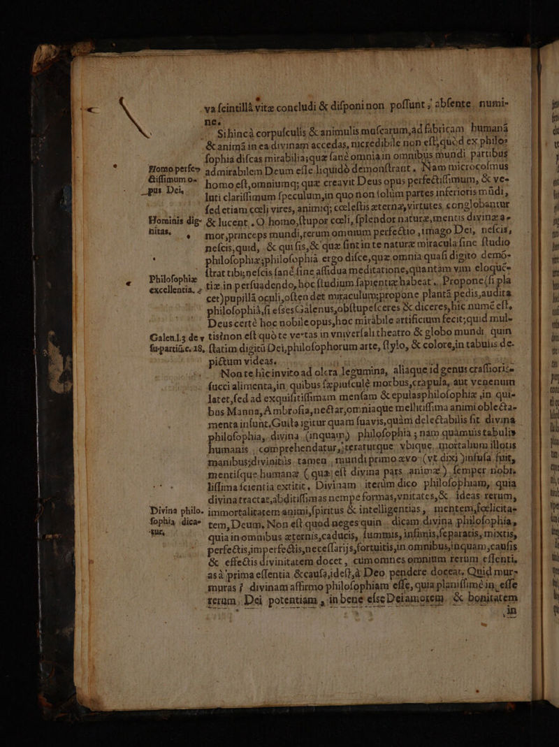 nee Flomo perfe» &amp;iffimum o« adm pus Dei, irabilem Deum efIe.liquidó demonftant. Nam microcofmus nitas NE d a* . mor,princeps mundi,rerum omuiim perfectio imago Dei, neícis, ncícis,quid, .&amp; quifis,&amp; quz fincinte natur miraculafine ftudio philofophiz;philofophia ergo difce,quz omnia quafi digito demó- x (^ |J ad . ; L ^ re  X Philofophiz [trat tibisneícis fané finc affidua meditatione,quantom vim eloque excellentia, , 0*1 n perfuadendo, hoc ftudium fapieptix habeat. Propone/fi pla late bas t (ed ad exquifitiffimam menfam &amp; epulasphilofophiz ,in. qui- Manna, À mbrofia,nectaromniaque melhitiffima animi obleéta- diyi natractar,abditiffimas nempé formas,vnitates, S . ideas rerum, fophia dica» aur, tem ,Deum., Non eíl quod neges quin .: dicam. divina philofophía, ra