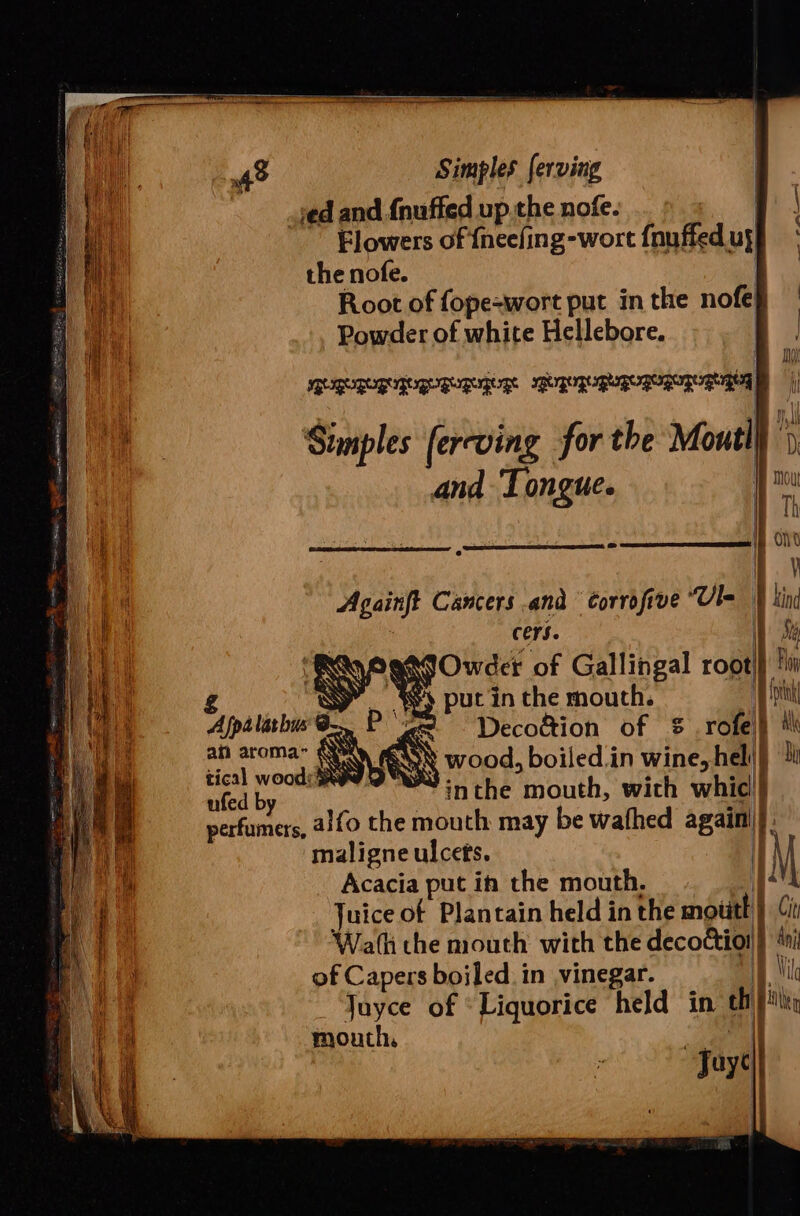 sed and {nuffed up.the nofe. i | Flowers of {neefing-wort {nuffed ugh the nofe. 1. Root of fope-wort put in the nofe} Powder of white Hellebore. | st a ea a a a ee | a F Bl Simples fercving for the Moutl} | and ‘Tongue. neu | : 3 H Th - if one | Againft Cancers and Corrofive “Ul 9 kind t. ) cers. \ ey “ Owder of Gallingal root} A *') put in the mouth. 1 Ha . ‘&lt; eariaee CON wood, boiled.in wine, heli} lv ufed by ‘inthe mouth, with whic! hI perfumers, 2/f0 the mouth may be wafhed again! 41 maligne ulcets. M hi Acacia put if the mouth, | oe Juice of Plantain held in the mouth) (i Wath the mouth with the decoction} *ni A fpalarbus @ : Decoé&amp;ion of % rofel} * Ce ee i 3 of Capers boiled. in vinegar. 1 Pu ag: Jayce of ‘Liquorice held in ehip tir a mouth, rl ‘Joye