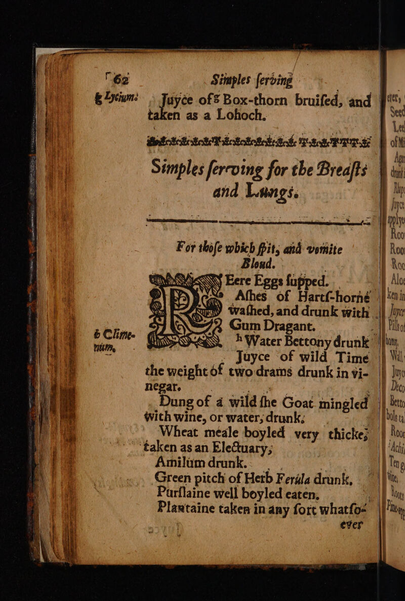 &amp; Chime. mui. Sivaples fering Jayee ofs Box-thorn bruifed, taken as a Lohoch. Simples fercving for the Breafts and Lan Less = For thofe which pit, and vomite Bloud. Eere Eggs fupped. “a Afhes of Gum Dragant. negar. | with wine, or water;drunk; 4 Wheat meale boyled very thicke} Amilumdrunk.. | . igs Green pitch of Herb Feréla drunk, Parflaine well boyled eaten, ever = th &lt;_&lt;