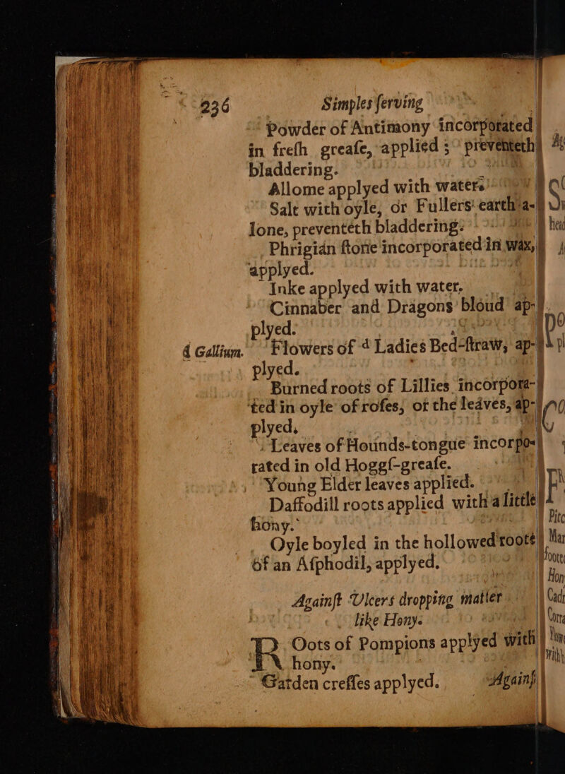 ie “236 Simplesferving : hat Powder of Antimony incorporated BY in frefh greafe, applied ; preventeth) *! ee a bladdering. oo ai Allome applyed with waters) J \ ae Salt with oyle, or Fullers-earth/a-§ Wi Jone, preventeth bladdering: G/B hea | Phrigidn ftorie incorporated in wax,) aul applyed. | a Inke applyed with water. Hi) Cinnaber and Dragons’bloud ap-9. mi Li | plyed. | i We nl el 4 Gallium. ' Flowers of 4 Ladies Bed-ftraw, ap-7 pl A any plyed. a a Burned roots of Lillies incorpora-} ‘ted in oyle of rofes, ot the ledves, ap-) A) plyed, pa | Leaves of Houinds-tongue incorpo-) rated in old Hogg{-greafe. : Young Elder leaves applied. * F f Daffodill roots applied with alittle) . hony. 1 Fit i Oyle boyled in the hollowed'toote Mar tle 6f an Afphodil, applyed, | ba ae ] on 4 Againft Ulcers dropping matter Cad : like Hony. : ip Gane R Oots of Pompions applyed with ) ton ‘\ hony. pr Gatden creflesapplyed.. Againf