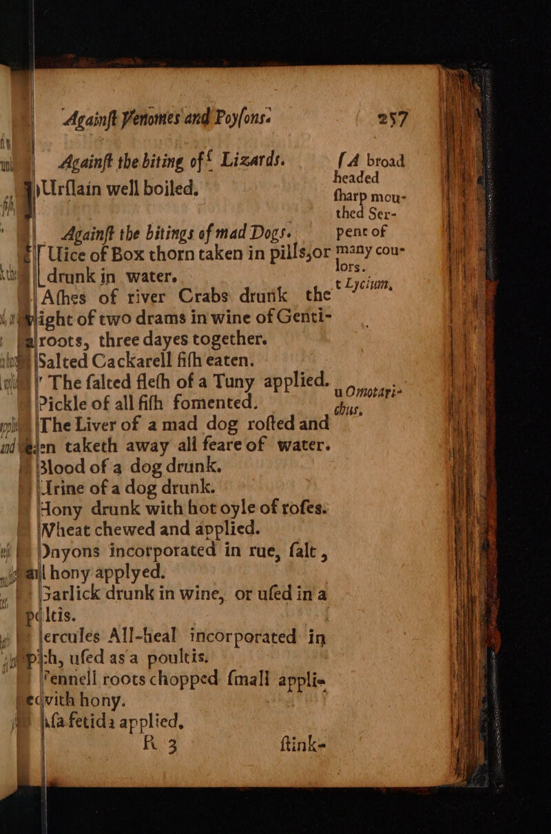 Againft the biting of £ Lizards. [A broad | : headed Be well boiled. ito noes thed Ser- | Againft the bitings of mad Dogs. pent of Ulice of Box thorn taken in pills,or may cou- | drunk in water. ep x! Athes of river Crabs drunk the’ 7° roots, three dayes together. ' The falted fleth of a Tuny applied. Pickle of all fifh fomented. (The Liver of a mad dog rofted and u Omotari- cbus, pil | Mh | Blood of a dog drunk. rine of a dog drunk. Mony drunk with hot oyle of rofes. Nheat chewed and applied. nyons incorporated in rue, falt , Sarlick drunk in wine, or ufedina ercules All-heal incorporated in ennell roots chopped {mall appli« | R 3 ftink-