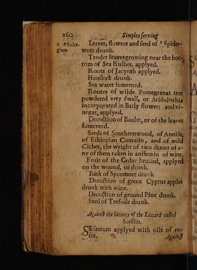 240 Z% Phalan- Zu. BAL ik: Simples ferving Leaves, flowers and feed of * Spider- woftt drunk, : Tender leavesgrowing near the bots, tom of Sea Rufhes, applyed. =~ 3 Roots of Jacynth applyed. Houfleek drunk. | Sea water fomented. powdered very fmall, or Ariftolochia incorporated in Barly flower; . andvi- negar, applyed, | Decottion of Baulm, or of the leaves fomented. Seeds of Southernwood, of Annife, of Ethiopian Cummin, and of wild Ciches, the weight of two drams of a- ny of them taken in anHemin of wine; Fruit of the Cedar bruifed, applyed on the wound, or drunk, Bark of Sycomore drunk. Decottion of green Cyprus apples drunk with wine. | Deco¢tion of ground Pine drunk, Seed of Trefoiledrunk. Againft the betings of the Lizard called ! Stellio. err CEfamum applyed with oile of ro- \ { i 4 I} ‘iy