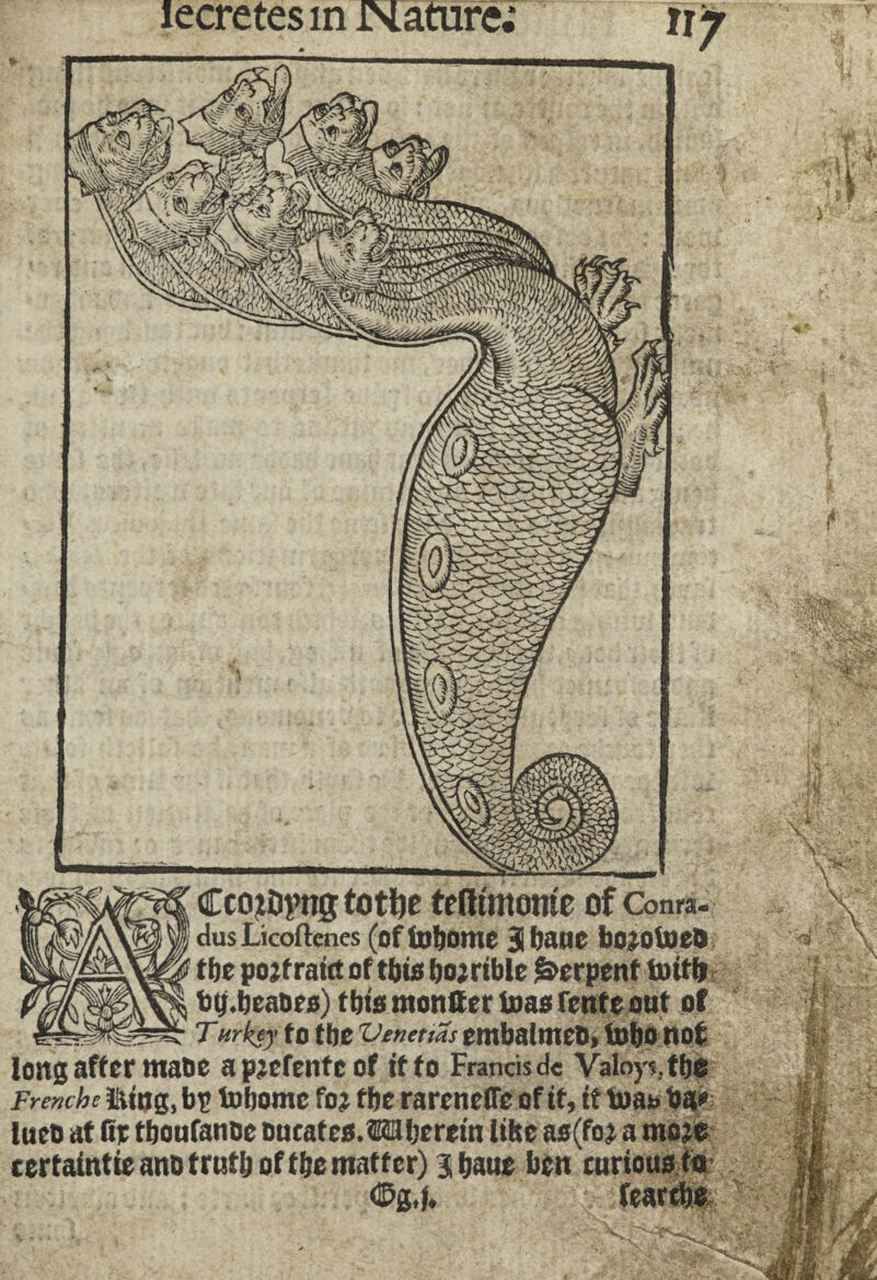 CcoiOpngtotlje teflmtoroe of Conra- dus Licoftenes (of tobome 3 bane bojotoeO tbe pojfraictoftbisbojrible Serpent toitb tg.beabffl) tbts montter baas fente out of Turkey to the Vcnctias embalwco, tofjonot long after mane a pjcfenfc of if to Francis d« Valoys.tbe Frenihc üfog, b£ tobome fo? f be rareneffe of if, it toa* ba* tueb at fit tboufanoe oucatca.dberem lilte as(fo; a moje certaintie ano trutlj of f be matter) 3 baue ben furious far ©g./.