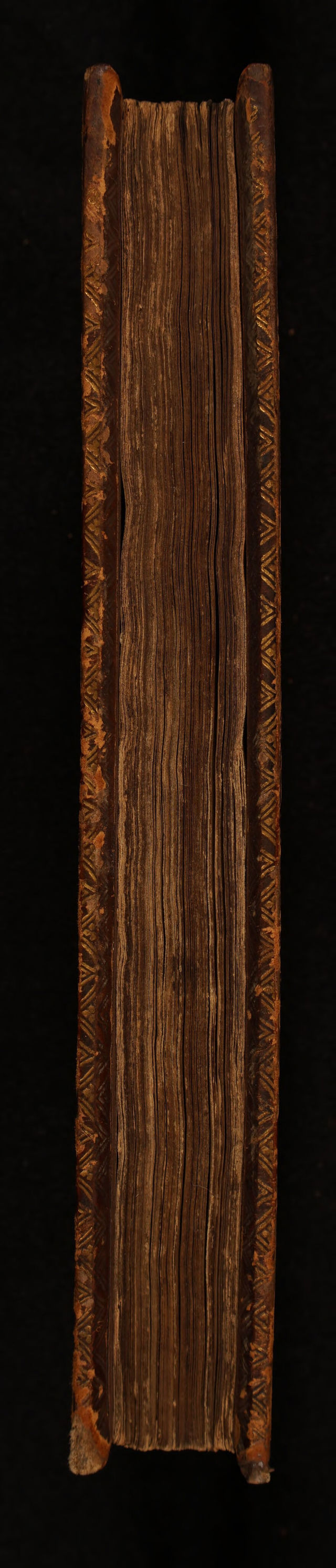 digitised image 3