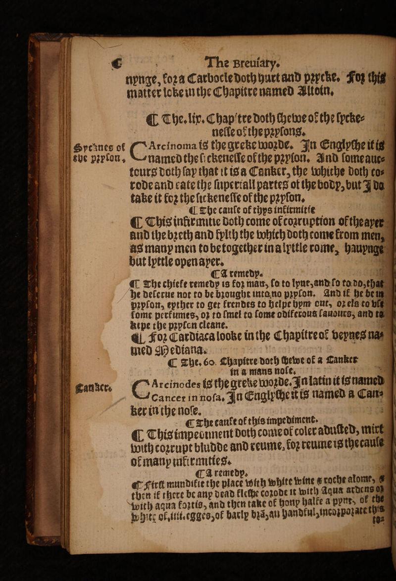 il nynge, koꝛ a Carbocle doth hurt and pꝛycke. Foz this i matter loke in the Chapitre named Altoin. ‘ill ¶ The. liv. Chap tre Doth chewe of the ſpcke⸗ ll nelle of the pꝛylons. | Speines of Senn is the greke woꝛde. In Englyche it is eve parton, “snamedthelickenelfe ol the pꝛyſon. And ſomeaue⸗ 1 tours Doth fay that it is a Canker, the tobiche doth co⸗ rode and cate the fupertall partes ot (he body, but J da take it fo2 the ſickeneſſe of the pꝛyſon. : 4 ¶ The caule of thys inkirmitie 4 ¶ This inkir mitie Doth come ok cozruption oftheayer and the bꝛeth and kylth the vohich Doth come from men as many men to betogether ina lyttle rome, hauyngse but lyttle open aper. 9 CA remedp. | iii ¶ The chiefe remedy is for mau, fo to lyne, and lo to do tha he delerue not to be bꝛought into no pꝛplon. And ik he be in pꝛyſon, epther to get krendes to helpe hym out, oz els to bigs fome perfumes, oz to fmel to ſome odiferous lauours, and toy ktpe the pꝛylen cleane. qu : 15 l Foꝛ Cardiaca looke in the Chapitreot veynes na⸗ med Mediana. le | : 9 C The. 60. Chapitre doth chewe ok a Canker i : in a mans nofe * ae ie vi * —— 1 4 ec eee eee — = . 1262 — 3 iy, canker Arcinodes is the grete woꝛde. In latin it is named am || 0 2 6 Ce in noſa. In Englpche N 18 named f Cans “I n he caule of this impediment | C The cance ar this: b . This impeoinent doth come ok coler aduſted, mire With coꝛrupt bludde and reume foz reume is the caule N of manp inkirmities. qa remedy, a ~ Siro mundikit the place with white wine s cache alome, ©@ ‘i ik there be anp dead kleſhe cozode it with Aqua a — 0 with aqua fortis, and then take of honp halke appre, © . ö White of int. egges, ok barlp biz an handkulzincozpazate 8 — — . — Ves, - - 9 * 1 &gt; = = See TT a