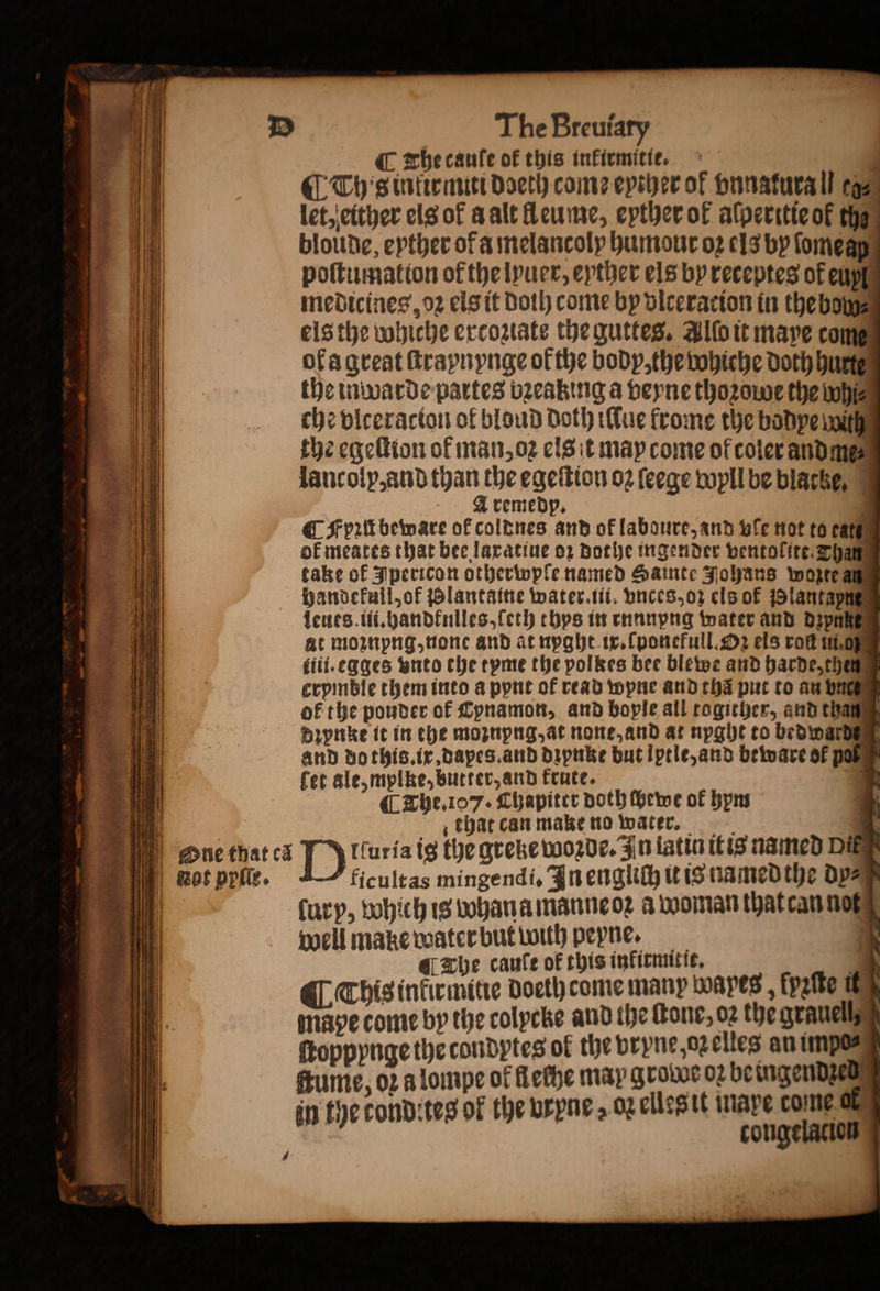 C Th's tattennitt doeth come eyther of Hunaturall eg⸗ let, either els of a alt fl eume, eyther ok aſperitie of the bloude, eyther of a melancoly humour oꝛ cls by ſome a poſtumation of the lyuer, eyther els by receptes of eu medicines, oꝛ els it doih come by viceracton in the bo els the whiche excoziate the guttes. Alſo it maye com ofa great ſtraynynge of the body, the whiche doth hurt the inwarde partes bꝛeabing a veyne thozowe the boh⸗ che vlceracion of bloud Doth Tue frome the bodye wil the egeſtion of man, oꝛ els it may come of coler andme⸗ lancolp, and than the egeſtion 02 ſeege wyll be blache, Aremedp. C Fpꝛſt beware of coldnes and of laboure, and ble not to cate ok meates that bee laxatiue oz dothe ingender ventolite Tha take of Jpericon otherwple named Hainte Fohans wozte ag Handefull,of lantaine water ii vnces, oz cls ok Blantayng leues. iii.handknlles, ſeth chps in rnnnpng water and dzpußz at moznpng, none and at npght ix. fponefull. D2 els rok in liii.egges vnto the tyme the polkes bee blewe and harde, theme crpinble them into a pynt of read ope and tha put to an bun of the pouder of Cpnamon, and bople all togither, and thane Dꝛynke it in the moznpng, at none, and at nyght to bedwardz and do this. ix, dapes. and dipuke but lptle, and beware of pe fet ale, mplke, butter, and krute. . — bil ¶ The. 107. Chapiter doth ſbewe of hym N i. i that can make no water. eue that ca 1 (Curia ig the greke woꝛde. In latin it is named pi not prile. ficult as mingendi. In engliſh it is named the dy⸗ 1 ſury, which is whan a manne oꝛ a woman that can nog well make water but with peyne. | ¶ The caufe of this infirmitit. a @ This inkirmitie Doeth come many Loayes , Kpſte thy mape come by the colycke and the Gone, oꝛ the grauell, | ſtoppynge the condptes ol the vryne, oꝛ elles an impo⸗