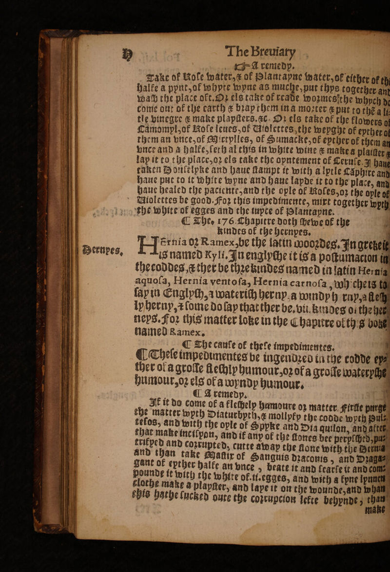 A remedp. Take of ole water, x of Plantapne water, ok either ok th halke a pput⸗ok hpte wopne as muche, put thys together anz Wach the place okt. Oz els take of cade wozmesſthe whych de come out of the earth e bꝛap them ina moꝛter € put to the a l tle vinegre € make plapſters. ac D1 els take of the flowers of Camompls ok Role leues, ok Miolettes, the weyght of eprher of them an vnce, of Mirtplles, of Sumacke, ok eyther of them an unce and a halke eth al this in white wine e matze a plalller g lap it to the placc,o2 els take the opntement of Ceruſe J hays taken Houlelpke and haue ſtampt it with a lptle Cãphire and haue put to it white wyne and haue lapde it to the place, and haue healed the paciente, and the ople of Roles, oz the ople of C Thee 176. Thapitre doth ſhewe ok the kindes of the herndpes. 4 — Ernia 0} Ramex,be the latin wooꝛdes. In gretze is named Ky li. In englyche it is a poſtumation ij thetoddes c ther be thꝛekindes named in latin Hernia: aquoſa, Hernia ventofa, Hernia carnoſa „Wh cheis to ſap in Englych, a waterich herny a Windyh rup, alle lyherny, ⁊ lome do lay that ther be. vn kindes 0} the he neys. Foz this matter loke in the C haputre okth es bohe named Ramex, | @ The caule ok thefe impedimentes. 7 ¶ Theſe impedimentes be ingendzeo ia the codde eye ther ofa groſſe flechlyhumour, oꝛof a groile wateryche humour, oꝛ els of a wyndy humour. a A remedp. 4 Ak it do come of a flechely hamoure oz matter Firſle purge the matter wpth Diaturbyth, &amp; mollpkp the codde wyth joule. telos, and with the ople of Sppke and Dia quilon, and akteß that make incilpon, and if any of the ſtones bee perplched, pu krikped and cozrupted, cutte awap the Hone with the Wernis and than take Matix of Sanguis Draconis , and Dꝛags⸗ ant of epther halke an vnce &gt; beate it and fcarfe it and come, pounde it with the whlte of. ti.egges, and with a kyne lpunen clothe make a plapſter, and lape it on the wounde, and whan his hathe lucked oute the copcupcion leckte bebpnde ; hit )