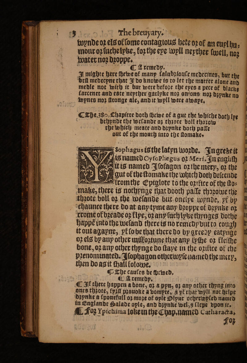 5 The breuyary. wynde oz els ol ſome contagtous bete 02 of an eupl hu⸗ mour oꝛſuche lpke, fog the eye wyll neyther ſwell, nog water noꝛ dꝛoppe. 185 ( Aremedp. A mighte here ſhewe of manp falubzioule medecines, but the ‘Beek medecpne that J do knowe is to let the matter alone and medle not with it but were before the epes a pece ok blacks farcenet and este nepther garlpke noz onions noz dzynke no Che. 380. Chapitre doth ſhewe of a gut the whiche doth lye 5 behpnde the welande oz throte boll thozow the which meate and dꝛynke doth palle out of the mouth into the ſtomake⸗ . Soph agus is the latyn woꝛde. Fnarekeit ae 72 At is named Jſokagon oꝛ the mery, oꝛ the gut of the ſtomake the wohich Doth deſcende T trromthe Epiglote to the oꝛilice of the ſto⸗ matze, there is nothynge that dooth palle thoꝛowe the thꝛote boll oz the welande but oneipe wynde, pk by chaunce there do at any tyme any dꝛoppe of dꝛynke oz Crome of bꝛeade oꝛ flpe, oꝛ any ſuch lytze thynges dothe happẽ into the weſand there is no remedy but to cough it out agapne, yt lo be that there do bygreedy eatynge 02 els by any other miffoztune that anp kyche 62 kleſſhe bone, 02 any other thynge do ſtaye in the ozikice ok che pzenominated. Iſophagon otherwyſe named the mery, then do as it chall lolowe. The cauſes be be wed. * A remedp. 21 reeves. ¶ Ik there happen a bone, oꝛ a ppn, oꝛ any other thyng into ones thzote, kz pꝛeuoke a vompte, &amp; pk that wyll not helpe dꝛynke a ſponekull oz moze of ople Olpue otherwpled named in Englande Salade ople, and dꝛpnke wel, e (lepe vpon it. ¶ Foz Ypichima loke in the Chap. named Catharaca, $03