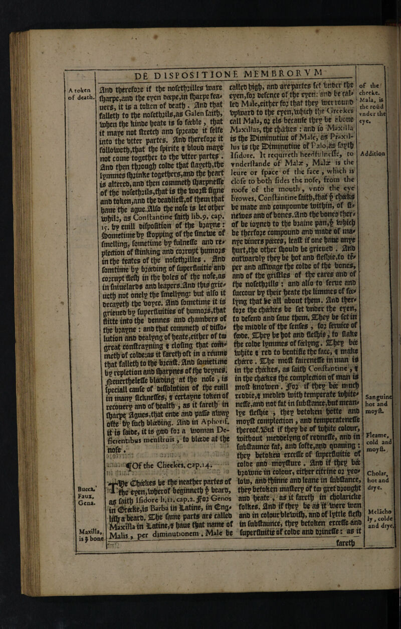 A token of death. de dispositions membrorv M Buccjl' Faux, Gena. Maxilla,, is $ bone n qnn tberefoje if ttjc noftttjjiilcs tore rallcu trist)> fine arcparlcs tet tntcr the fharpc,aru> the even ncepe.tn ftjarpe tea* e?en,foj Defence of the open: an® t e ta!» Hers, it is atofecn of Boat!). flnt that Ion Mak,ctthcr foj that the? tor row® fellah to the nofettmls.as Galen taitlj, toptorti to tljc cren.tolnch tfjc Oreck« tohtn the Wnoe heats is fo fable, that call Mala, oj els becaule the? to shone it mate not fttetch atm fpteaoe it felfe Maxillas,the chaises : anb to Maxilla into the otter partes, ano therefore it is the BDimmutuic of Male, as Pr.x.l- follotatb.ttjut the fpirite * bloim mate lus is the SDimmntme of l aio.as forth not come together to the Otter partes. lfidote. lr icqmreth heerfhilmlfe, to ano then tfeongh toloe that flateth.the rndcrftande of Mali, Milx « the Itmmeslhtinhc together*,an® the heart lore or fpace-of the face .winch is is alter CD, anc then commetb fyarpneffe clofc to both tides the nofe, from the of the nofethJils,that is the toojtt Bgne roofe of the moutl’’*nt<\ anotohen,nno theoeaoliett,of themthat browes. Conftantinefaith.that t thafts baue the aguc.atfo the note is let other be maoc ano tomponnoe totthm, of u> tohilt, as Conllantine faith l»b-9. cap. Mtosanoofboncs.an® tbebonesfhcr k. bv ettill oifpoOtion of the bjapne : of be iopneb to the brntne pan,p fehich Sometime bp flopping of the finetoe of be tbcrfoje componnD ano maoe of ma* fmclling, fometime bp fulneffe anD ru npe Diners pace*, tcaft if one pm anpe plecttott of ftinking ano corrupt tiumoas hurt,the other tooulD be grtcueD . £no in the teates of the nofetbjilles * 0nD outtoarDlp tbep be pot ano ftefbie.fo te* fomtime bp booing of fuperfluttie anD per anb afftoage the coloe of the bones, corrupt flefb in the boles of tpt nofe,as ano of tpt grittles of tpt cares ano of infntuelaros ano leapers.^nD tbtsgtie* fbe nofctbjtlte ♦ ono alio to feme ano uctb not onelp tpt rmcllpng: but alfo it fuccour bp tbeir pt&tt tbe limmcs of fa* Decapetb tbe bopcc. ano fometime it is Ipng tbat be all about them. anD tirer^ arieueb bp fuperfluities of bumo;s,tbat foje tbe ebeekes be fet bnper tbe epen, flitte into tbe Dcnnes anD chambers of to DefenD anD faue them* %pzy be fet in the b:apne: anD that commetb of Ditto* the miODle of the fenfes, to? femice of lution anD oealpng of beate3eitber of to) ftoDe.%pty be hot anD fleets, to flake great conftrapning f doting that coto* the colDe Ipmmes offcelpng. %pcy Pa metb of colDe:as it faretb oft in a reutne tobite * reD to bentifie the face, d make tbat falletb to tbe bjcafl. anD fometime cbeere. %pt mefl feirenette tnman ts bp repletion anD fbarpnes of the bepned. in the cb®kes, as fattb Conitaotmc ,« meucrtbelette btebing at the note, is in the cheats the complctoon of man is focciall caufe of Dittolntion of the euiU moll knotoen. JFo: if tbep bee much in manp fickncffes, f certapnc token of rcooie,d mcDlco toitb temperate \xpitt* reconerp anD of health, as it faretb in neffe,anD not fat in fobftancc,but mean* (barpe agues,that enoe anD paffe atnap tpe flelbie , tbep betoken l>cfte anp ofte bp fucb blabing. ano in Aphor.f, moptt compleetion, anD femperatenette tHa faiDe, it is geoD fo: a tooman Dc- tbereof.)15ut if tbep be of tobite colour, ficicntibus mcnllrms, to blceoe at the toitbout meDDclpng of reoneffe, ano m ^ fubftaunce fat, anD fofte,anD quaumg t .r •' tbep betoken erettteof fuperfluitie of i.uVii cof the Gheekes.cap.^i colDe anb mopflurc • anD if tbep bee 11 b:otone in colour, either citrine o? peo* Cbeebes be the ncatber partes of loto, anD tbinne anD leane in fobttance, 1 the epen,toberof beginnetb ^ bcaro, tbep betoken mafterp of tco gref D;ongt)t n« faith ifiaorc 1mi.cap.2.iFo:Genos anD beafe, as it faretb in cbolancke to ®reeke,is Barba in llatine, in Cmg* folkes. 3nD if tbep be as it toere toan liflr a bearo. %pt fame parts are calico ano in colour bletotflh ano of Ipttle flem Maxilla in 3latine,f baue that name of to fubftaunce, tbep betoken erceffe anp Malis, per diminutioncm, Male be fuperfluitie of colDe ano Dinette ; as if —■ ” faretb of the cheeke. Mala, is the roud vnderthe eye. Addition Sanguine hoc and moyft. Fleame, cold and I moyfi. Cholar, hot and dryc. Melacho ly , colde and dryc.