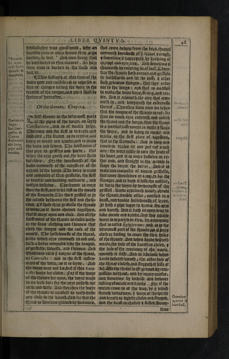 LIBER QVINTV £ *B«aufe he wan- rcth borh fpcecb 5c nunnery Gutter.ris Ittgu- lun,Gur- gulio, 5c i? Canna Pulmonis the lung pipe and vyefen. ’! » I- fthttofopber boas ^ueftioned, tohp an tjojriblcraants mo2e beanie then aiige burden, 02 tuif. * $na men feeing that be aimflnered in fljist-manner. 0n IjQ2* rtbie train is burden £0 ttjc .TouIe ana tfSDfcfefuffiecti)at tljiiSttmeoffIje boicc gad andem!ljfc>4f is re^erfeD fote of twinges letting the boice in the treattfe of tljc tongue,and pet it C^all be fpohen of hereafter. -> n - ; /,/ ; * ; j-f * ... *■ f • •» *«.,a *4 . Of the throate, Chap,24, • • . , ■ ,; -|Si;. «*,» > g** &<£ th2oate ts’tbefctfcrmoff parts -V of the pipes of ttje lungs; as faxtb Conftantine, and is of Double t)Cipe. SEb&moje and the firft is to main and feno atre , the feccnd is to rcceiue and bang in meats ana minUe,ano to make the boice anD folima. %he fubftaunccof this pipe is grifilpc ana IjarDe, ttjat infien the ayie goetf) out,the boice 0)u!a besdeere; if02 the bcarfenefiTe of the boice ccmmetb of the mopftiirc oftljc oigan'e of the lungs. fflbe tsoice is made ano compofeacfth2& griffells, ttjejfcft is imotfie ana bending , auttoarde , ana toitbin bollolne. 2Dbe;fecona ismo2e then the firff,and islet fait in the mouth of the fltomacbe,;2Dbe third grifteli is in the middle bettuecne the firft and the fc* coiid; tbefe tbJee grtftells tl;etb2oafe is made,as if toere ebemed togefbers, that it mape open and clofe. $na all the fubftaunce of the th2patc is clafed Ixutb* in the fame clothing ana ffeinnes that cloth ttje tongue and the rofe of the mouth. %he holloluneffe of the th2oat, in the tohichapte tommeth in and cut, hath a bodpe compofed Ipfee the tongue, ofgriftellgjfatnelTe, and ffcinnes. $nd phtftttons cal it p tongue of the thtoat, 02 Catarada : and ts the 6rCt intfrm ment of tl;e boice, as it is fapde. $na tlje bopce map not b®,but if this Cata- r. di tuape bee clofed. #02 if the foape of the tluoaic bee open, the bopce mape in ns luifc bee: fo2 the ap:e pafietb>out Itttle and little. Sno therefore the luapc of the th2oafe is needful! to toith-boide and cfofe in ttje bjeatb^tia-fo j that the tljjoat is fomtime grieued bp humours, that come bqfenp from tlje head,thereof commefh heartuefllc of f thioat s ccugp, t fometimrit happepelh bp making of con'ppt and d2ie ,am%. ^ud Sometime it chaunceth hf entering in of Du&. s:hcrc* fo2e the th^pate hath rseruesand gritfels to Unthftande and let the duif, f other fuch.gnetteus thinges, that thep enter not to the lungs : and that is nddfull to mahe the boice fame,th ong,and rea? die. 0nd if reiductlHhe atre that com* meth in, and temperefh tlje coldeuefle thereof. £niercfo2c fome men dieluhen that the tongue of the thioatc is cut: fo2 then to much ap2e entereth and coleth the fl/joaf and the lungs,then thereat is a needfullintfrumentlo mahc f Ibape the bopcc, and to b2jng in uieafe and finite to the ftrlt place of digetfio% that is the flomache: ^nd is long and round to d’abue in and put cut much airc: tlje mo2eeal2ix to cmle the heateof the heart,and it, is mo2e hoUotee in cp# t.her end, and tfraight in tije tv.mle to fijape the hopes the better . SnO it is made and compofed of Diners grtftellSi thatcouerthemfelnes in a mp,to bee the Wronger,and to bend it felfe the eaOlier* to baric fhe bopce bp tendemefie of tpo gritfell .!^tndeo2detneth Iniiblpaboutc the th2oate,double office, needful! to a beatl, and double hof iotonctfe of Ir^pe, Bit hath a pipe Ingpeto d2afce the ap?$ and b2eafh, Bndit hath an openboap to tafee meats and D2tnfec.and this Muble loape tsdeparfed in ttno, b^aicouering that is called Epiglotum: /and, is In th? bttermoft part of the th^oafe^s iljner? cloth 02 haling to couer the ttpq holes of theth2oate. 0nd tohen kinde defireth meafe,thc hole of the b2eath is,clofed, f the hole of the receiutng of tpemeate, openeth it felfe . j9ind in hftelnife^uhen .fetnde oeficeth baeath t the other hole ojf ,the tlmoat clofeth,and Ccppeth if felfe at ful.aifo the th2t)at is oft groeued fep conj? paffton toitheut, and bp manpgriefes, and fometime bp bnlnife and bntoare .taking ofmeate and d2inke. ^02 if tho rmcate come in at the lcap,bp.p tohich b2cath ismatoen, f> luape ofthefpiitfe and b?eath is lightip clofed and flopped, and the bcattis choked 1 ftiflcd,foome< time 48 . Luci J <•>'’ j 10 • Ll.‘ rrr^-Ai > - LnT ! n f.!, 7v A » .'3 IO ,i:«d Gtsedye aptrtitc ij hurtfull.1 l