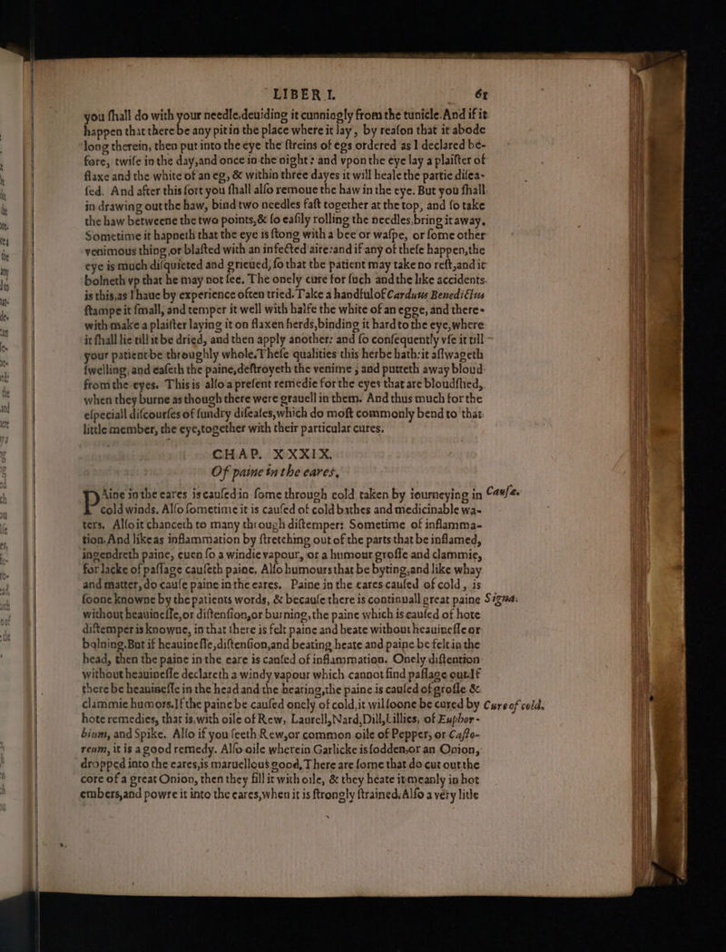 ~LIBER.L. 6x you fhall do with your needle,deuiding it cunniogly from the tunicle.And if it happen that there be any pitio the place where it lay, by reafon that it abode long therein, then put into the eye the ftreins of egs ordered as 1 declared be- fore, twife inthe day,and once in-the night: and vponthe eye lay a plaifter of flaxe and the white of an eg, & within three dayes it will heale the partie difea- fed. And after this fort you fhall alfo remoue the haw in the eye. But you fhall: in drawing out the haw, bind two needles faft together at the top, and fo take the haw betweene the twa points, & fo eafily rolling the needles, bring itaway, Sometime it hapneth that the eye is ftong with a bee or wafpe, or fome other venimous thing or blafted with an infeed aire:and if any of thefe happen,the eye is much difquicted and grieued, fo that the patient may takeno reft,andir bolneth vp that he may not fee, The onely cure for {uch andthe like accidents. is this,as ! haue by experience often tried. Take a handfulof Carduws Benediétus ftampe it {mall, and temper it well with haife the white of an egge, and there= with make a plaifter laying it on flaxen herds, binding it hardto the eye,where it fhall lic tillitbe dried, and then apply another: and fo confequently vie it till your paticatbe throughly whole. Thefe qualities this herbe hath:it aflwageth (welling, and eafeth the paine,deftroyeth the venitne , aad putteth away bloud: fromthe eyes. Thisis alfo.aprefent remedie forthe eyes that are bloudfhed,. when they burne as though there were grauell in them. And thus much for the efpeciall difcourfes of fundry difeafes,which do moft commonly bend to thas: little member, the eye,together with their particular cures. CHAP. X XXIX, Of paine tn the eares. cold winds, Alfo fometimie it is caufed of cold bathes and medicinable wa- ters. Alfoit chanceth to many through diftemper: Sometime of inflamma- tion. And likeas inflammation by ftretching out of the parts that be inflamed, ingendreth paine, cuen fo a windie vapour, or a humour groffe and clammie, for lacke of paflage caufeth paine, Alfo humours that be byting,and like wha and matter, do caufe paine inthe cares. Paine inthe earescaufed of cold,. is without heauineffe, or diftenfion,or burning, the paine which is caufed of hate diftemperis knowne, in that there is felt paine and beate without heauinefle or balning.But if heauinefle,diftenfion,and beating heate and paine be felein the head, then the paine in the eare is canfed of inflammation. Onely diftention without heavineffe declareth 2 windy vapour which cannot find paflage out-lf there be heanineffe in the head. andthe hearing,the paine is cauled of grofle & hote remedies, that is,with oile of Rew, Laurell, Nard,Dill,Lillies, of Euphor- bivm, and Spike. Alfo if you feeth Rew,or common oile of Pepper; or Ca/fo- rewm, it is agood remedy. Alfo oile wherein Garlicke isfodden,or an Onion, dropped into the eares,is maruellous good, There are {ome that do cut outthe core of a great Onion, then they fill it with ole, & they heate itmeanly in hot embers,and powre it into the cares, when it is ftrongly ftrained.Alfo a very litle