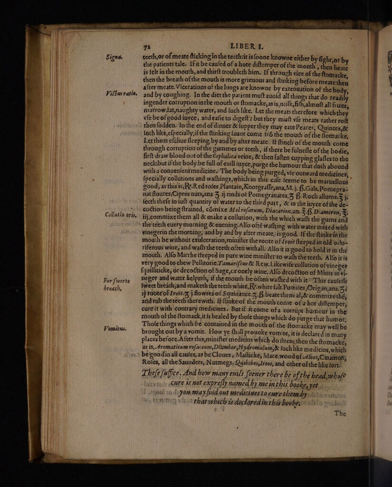 OF eer mys in meter eaete rel ge Vittus ratio. Collatio cris, For [weete breath, Fomit ts. teeth, or of meate tticking in the tecth:it is fone knowne either b is felt ia the mouth, and thirft troubleth him. If through vice of the ftomacke, then the breath of the mouth is more grievous and ftinking’before meate then after meate. Vicerations of the lungs are knowne by extenuation of the body, and by coughing. Inthe diet the patient muft auoid all things that do readil ingender corruptionintbe mouth or ftomacke,as is, milk,fithalmoft all fruits, marrow, fat,naughty water, and fuch like. Let the meats therefore which they vic be of good tuyce, andeafie to digett’s butthey mutt vfe meats rather roft fuch like,efpecially,ifthe ftinking fauor come frd the mouth of the fiomatke, Letthem efchue fleeping by and by after meate. If ftinch of the mouth come through corruption ofthe gummes or teeth, if there be fulnefle of the bodie, fir t' draw bloud out of the Cephalica veine, &amp; then fatten cupping glaffesto the necksbut ifthe body be full of euill iuyce,purge the humour that doth abound with-a conuenientmedicine. The body being purged, vleoutward medicines, good) as this is;Rv.Red roles Plantain, Knoteraffe,ana,M, j. B.Gals, Pomeora- nat floures,;Cipres nuts,ana 3 .ij.rinds.of Pomegranates, §.Roch allame.$ j. feeth thefe in iuft quantity of water to the third part, &amp; in the iuyce of the de- ij. commixe them all &amp; make'a collution, with the which wath the gums and the'teeth euery morning &amp;cuening: Alfo ofté wathing withiwater mized with vinégerin the morning; and by and by after meate,iis good. ‘If the fidke in the riferous wine; and ‘wafh the teeth ofted withall, Alfoit is good to hold it in the mouth. \Alfo Mirrhe tteeped in pure wine minifter:to wath the teeth, Alfo iris very good to chew Pellitorie,Famarifius &amp; Rew. Likewife'collution of vineoer fquilliticke, or decoction of Sage,or onely wine, Alf decoétion of Mints in ¥i- neger and water helpeth, if the mouth be-often wathed with it?Thig cauterly fweet breathjand maketh the teeth\whieé, Re: white falt/Pumifes {Origanjana.5i ij taote'OF Ire03,z j flowres of § quinance.2 8. beate them al,&amp; commixethé, anid rab theteeth therewith. lf ftinkeof the mouth conie ofa hot diftemper, cure it with ‘contrary medicines. Burif itcome ofa corrupt humour in the mouth of the ftomack,it is healed by thofe things which do purge that humor, Thofe things which'bé ‘contained in the mouth of the ftomacke may wellbe brought out bya vomit. How ye fhall prouoke voinite, itis declared in man places before.A fter this,minifter medicins which do itrengthen the ftomacke, as 13, 4romaticum rofaceum,Diamber,Hydromalum,&amp; tach hke medi cins, which Roles, all the Saunders, Nutmegs; Quibibes,Ireos, and other of thelike fort. T hele fuffice. And bow many enils foeuer there be of the head, whofe -‘ine9 1ai: SME A nO? exprelly named by me inthis booke yet. Kuti diyommny fiad out meaicidesta curethemby 1). ->ix., AMO to gharwhich ts declared i this booke: 19030. D tials tik The