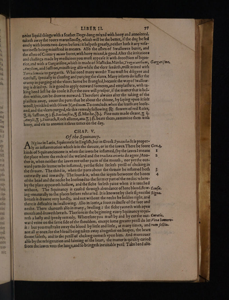noint liquid things with a feather.Dogs dang mixed with hony and anointed, taketh away the roues maruclloufly, which will be the better, if the dog be fed onely with b uorineffe being miniftred in meates. Alfo the afhes of Swallowes burnt, and the athes of Centory minor burnt,with hony mixed,is good.After the irritations and chafings made by medicines,you muuft appeafe it with decoction of liquo- rice,and with a Gargarifme,which is made of Mafticke,Misthe,Tragacanthum, Amylum, and Saffron, miviftring alfo while the vicer feedeth,milk mixed with Terra lemnia to gargarife, What need many words? You muft be diligenr and carefull, {pecially in clenfing and purging the vicers. Many infants do (uffer the cramp in purging of the vicers. Some be ftrangled,becaufe the way of {wallow- ing is dried vp. Itis goodto apply outward foments,and emplaifters, with ta- king heed left he do coole it.For the cure will profper, if the matter that is hol- den within, can be drawne outward; Therefore alwaies after the taking of the plaifters away, couer the parts that be about the chinne, by laying vpon it foft wooll,{prinkled with Olewm Nardinum.To conclude,when the feurfs are loofe- ned,and the vicers purged,vle this remedy following: Rv. flowers of red Rofes, 4..iij. Saffron,2.}. {5.Baulauftie,Z, .Mirshe,>).j. Pine nuts made cleane,2. ij. Amylis%, j.Sumach,Roch allume,ana.3 j.. beate them,cemmixe them with hony, and.vfe to annoint itthree times on the day, CHAP. V; Of the Squsnancy. Ax ‘gina in Latin, Squinancic in Englifh,but in Greek Synanche.Itis proper- ly an inflammation which isin the throate, or in the iawes. There be foure kinds of Squinanciesjone is,when the iawes be inflamed, (by the iaweslmeane the place where the ends of the wefand.and the trachea arteria do agree.)Ano- ther is, when neither the iawes nor other parts of the mouth , nor yet the out- ward parts do feeme to be inflamed, yet the ficke feeleth peril] of choking in thethroate. The thirdis, when the parts about the throate be inflamed both outwardly and inwardly. The fourth is, when the ioynts betweene the bones ofthe head and the necke be loofenedto the former part of the necke: where- by the place appeareth hollow, and the ficke feeleth paine when itis touched without, The Squinancy is caufed through abundance ofhote bleud,flow- ing vanaturally to the places before rehearfed. Itis knowne by thefe fignes:the breath is drawne very hardly, and not without the necke be holden right, and thereis difficultie in: {wallowing. Allo in fome,a feuer,rednefle of the face and’ necke. There chanceth alfo in many , {welling : the ficke yauneth with opes mouth and drawethbreath. Therforein the beginning every Squinancy requi- reth a hafty and {peedy remedy. Wherefore you muft by and by cutthe out- it: but youmuft take away the bloud by little andlittle, at many times, and not all at once,forthe bloud being taken away altogether on heapes; the heart foone faileth, and fo the perill of choking cometh vpon him. And morcouer ~ Gargari(me. GenAp I 2 » cha Si ig» YUM fe 190