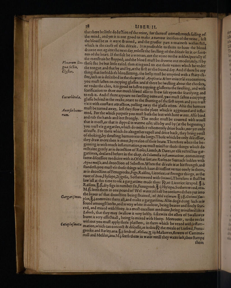 tharthere be little dedution of the veine, torthereof cdmeth much failin the miod, and yetit is not goodto make anarrow inciGon ofthe veine, left the bloud be as it were ftrained, and the grofier pare remaineth within ftill, which is the caufe of this dileafe. Itis profitable to them to haue the bloud drawne out agaigethenext day,vnleflethe {welling of the difeate letit,or faint nes of the heare. [f the fick be a woman, cut the veine onthe ankles,{pecially if the menftruis be ftopped; and the bloud mult be drawne out moderately, if by Venarum lin- thefe fhe be but little eafed, then itis good to cut thofe veines which be ynder guefectio, — the tongue,and that by and by, at the firft or the fecond day.And ifthere be any Cly fer. thing that forbiddeth bloudletting, the belly muft be emptied with a fharp cli- fter,(uch as is defcribed ia the chapter of Apoplesxia. After vniuerfal evacuations, you muft faften on cupping olaffes-and if there be (welling about the checkes, or vader the chin, itis good to faften cupping glaffesto the fwelling, and with {carification to draw out much bleud:alfo to ftrew (alt vpon the {carifying.and ; torub it. Andif there appeare no {welling outward, yeu mutt fatten a cupping Cucurbitule, glafle behind in the necke,neare to the fhutting of the fir ioynt; and you muft vicit with conftant attraction, pulling away the glaffe often. Alfo the humors ; muft be turned away, left they fow tothe place whichis agericued and infla- risehid agutgente Pg are which purpofe you mutt bath the feet with hote water, Alfo bind dese and rub the bands andfeetftrongly. The necke mutt be couered with wooll that is moift,or that is dipped in warme oile: allo by and by (at the beginning) you mutt vfe gargarifes,which do neither vehemently drive backe,nor yetonly difcuffe. For thofe which do altogether repell and drive back, they bring perill of choking, by thrufting humoursto the lungs. Thofe which be only difeuffiue, they draw more then is meet, by reafon of their heate. Therefore when the be- ginning is with much ioflammation,y ou muft minifter thole things which do ref{traine gently.as is decoétion of Rofes, Lintels,& Dates,or elfe reftriGtiue gar- gari(mes, declared before in the chap, de Columelle inflammatione, commixing tome difcuffiue medicins with i.Ofthat fort are Rofes,or Sumach fodden with Aqua mulfa,and decoétion of Sebeften.When the difeafeis at his ftrenoth,and {tandeth,you mutt vie thofe things which haue difcuffiue vertue onely inthem, as is decoction of Fenugreeke,Fios,R aifins, Licorice; or fironger things, as the lawiull at this time to vfe a gargarifme made thus: Ry.ot Licorice {craped, .j. Raifons,3.{..dry figs in number fix, Fenugreek,$.ij Hylope,Sothernwood,ana. M, S.{eeth them in one pound of Wel water til half beconfumed:then put into _.... thelicour of that deco@ion being ftrained, of Mel rofarum Z j.-Oximel fim- Gargari/mus. plex, .j.commixe them all,and make a gargarilme, Alfo dogs dung {uch asis found amoneft herbs,and is very white in colour, being beaten and finely fear» ced, and mixed with Hony, isa moft excellent medicine,being miniitred ikea Lohoch, that they may {wallow it very foftly. Likewile the athes of Swallowes burntis very effe&tnall , being (o mixed with Hony. Moreover » tothe necke without you muft apply thofe plaifters , in them which be vexed with inflam- Cataplafmata mation, which can concoét & difcufle,as is this:RY the meale of Lipfeed, Fenu- grecke,and Barley,ana..j.feeds of Althea,z iij-Mallowes,flowers of Cammo-« mill and Melilot,ana,.M.j.feeth them in water yntill they waxe(oft,then ftampe them g of