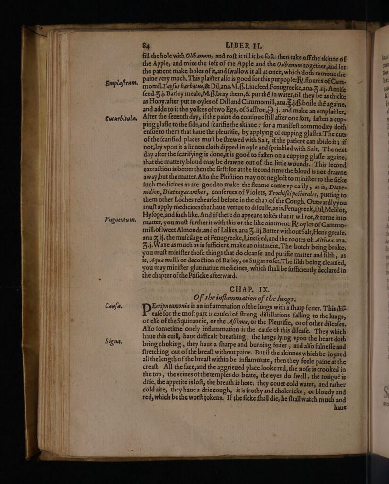Emplaftram. Cucurbitules “at (| nguenty nie Canfa. Signa, LIBER II. fillthe hole with Ol:banum, and roft it till it be foft: then take the Apple; and mixe the loft of the Apple and the Ovibanum together,and let the patient make boles of it,and (wallow it all at once, which doth remoue the paine very much, This plaifter alfo is good forthis purpopfe:Ry.floures of Gam. momil,Tap/us barbatus,&amp; Dil,ana. M.(3.Lincfeed,Fenugreeke,ana.Z Nj. Annife {eed,J j. Barley meale,M.{8. bray them,&amp; put thé in water, till they be asthicke as Hony-after put to oyles of Dill and Cammomill ,an2.Z,j.8 boile thé againe, and addeto it the yolkes of two Egs, of Saffron,'). j. and make an emplaifter, After the feuenth day, ifthe paine da continue ftill after one fort, faften a cup- ping plafle tothe fide,and {carifie the skinne : for a manifeft commodity doth enfuc to them that haue the pleurifie, by applying of cupping glafles:The cuts ofthe {carified places mutt be ftrewed with Salt, if the patient can abideit + if not,lay vpon it a linnen cloth dipped in oyle and fprinkled with Salt, Thenexe day after the {carifying is done, it is good to faften ona cupping glafle againe, that the mattery bloud may be drawne out of the little wounds. This fecond extraction is better then the firft:for atthe fecond time the bloud is not drawne away,but the matter. Alfo the Phifition may not negleét to minifter to the ficke {uch medicines as are. good to make the fleame come vp eafily, as is, nidion, Diatragacanthes, conferues of Violets, Trochifci peftorales, putting to them other Loches rehearfed before in the chap.of the Cough, Ou twardly you Hylope,and {uch like, And if there do appeare tokés thatir wil ror,&amp;turneinto matter, you mutt further it with this or the like ointment: Ry.oyles of Cammo- mill,offweet Almonds,and of Lillies,ana.3.iij. Butter without Salt,Hens greafe, ana.Z ij. the mufcilage of Fenugrecke,Lineleed,and the rootes of Althea.ana, %,j. Waxe as much as is fufficient, make an ointment. The botch being broke, you mutt minifter thofe things that do cleanfe and purifie matter and filth > as is, Aqua mellis or decoGtion of Barley, or Sugar rofet. The filth being cleanfed, you may minifter glutinatiue medicines, which fhall be fufficiently declared in the chapter of the Prificke afterward. CHAP, IX. Of the inflammation of the lungs. Eeripnesmonia is an inflammation of the lungs with a tharp feuer. This dift Pat for the moft part is caufed of ftrong diftillations falling to the lungs, or elfe of the Squinancie, or the 4/thma, or the Pleurifie, orof other difeafes, Alfo fometime onely inflammation is the caufe of this difeafe. They which haue this euill, baue difficult breathing , the lungs lying ypon the heart doth bring choking , they hauea fharpe and burning feuer , and alfo fulnefle and Rretching out of the breaft without paine. But if the skinnes which be ioyned all the length of thebreaft within be inflammate, then they feele paineat the creaft. All the face,and the agerieued place lookered, the nofe is crooked jn the top, theveines ofthetemplesdo beate, the eyes do {well, the tongue is drie, the appetite is loft, the breath ishote, they couet cold water, and rather coldaire, they hauea driecough, ‘itis frothy and cholericke, or bloudy and red, which be the worft tokens, If the ficke fhall die, he shall watch much and