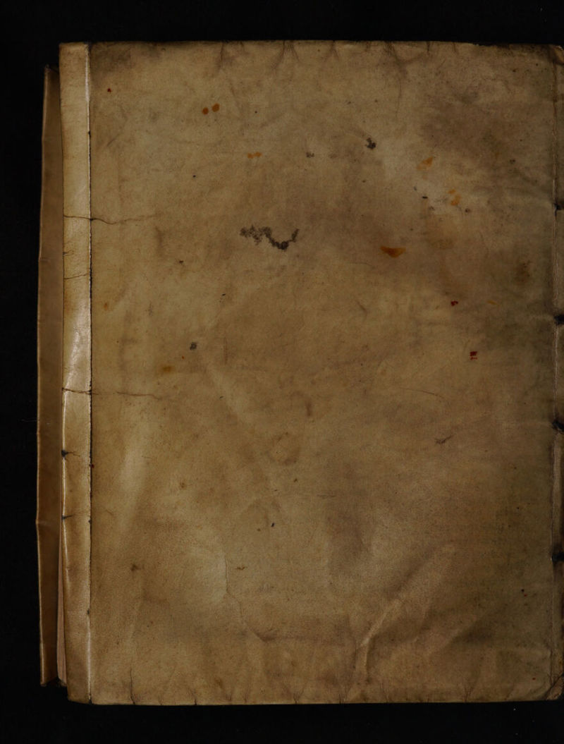 No text description is available for this image