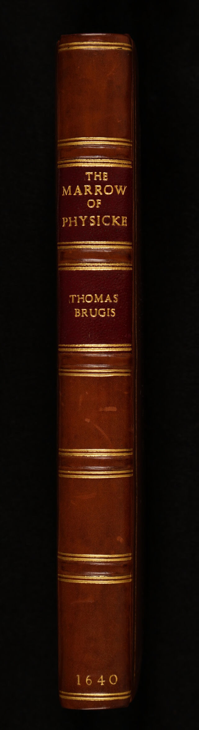 No text description is available for this image