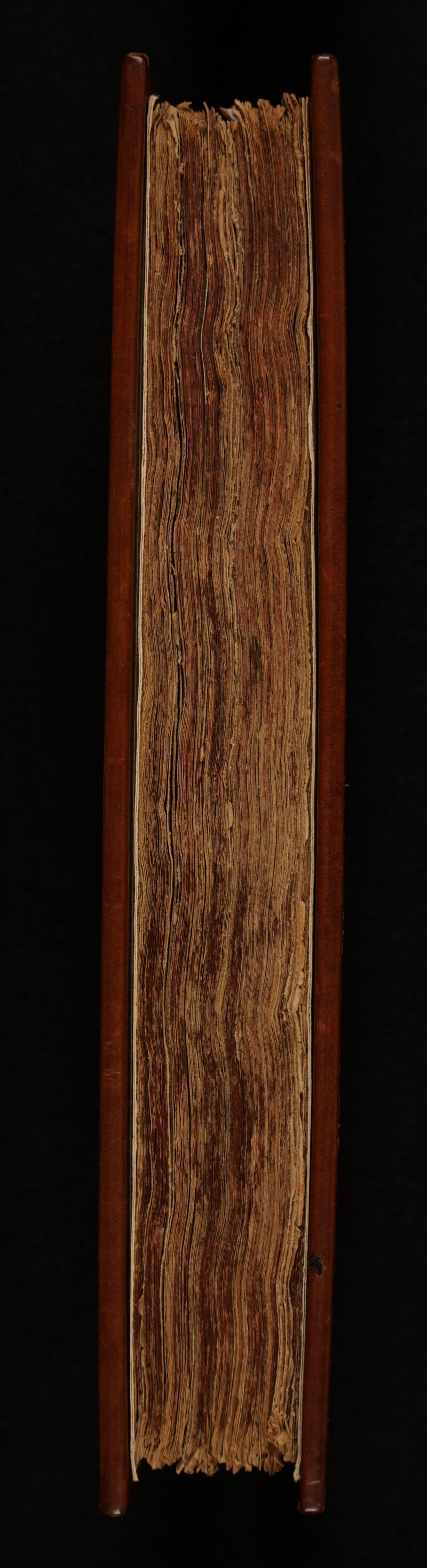 No text description is available for this image