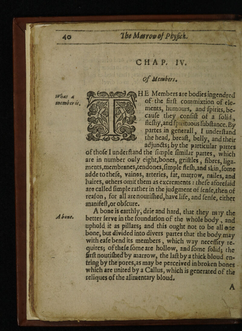 Wh&t s member u. About* c H a P, I V. Of Members. HE Members arc bodies ingendred of* the fir ft commixtion of ck» mentSj humours, and fpirits, be- caufe they confift of a folid , fldby,aEd fpifituous fubftancc. By partes in generail, I underftand the head, breaft, belly, and their adjumfts; by the particular partes of thofe I underftand the fimplc fimilar partes, which are in number only eight.boncs, griftle*, fibres, liga- ments,membrancs,tendones,fimplc flelh,and skin,fomc addc tothefe, vainos, arteries, far, marrow, nailes, and haircs, others omit them as excrements: thefc aforelaid are called fimplc rather in the judgment of lenk.theo of reafon, for all arc nourifiied,havc life, and fenfe, cither manifeftjor obfcurc. A bone is earthly, drie and hard, that they may the better ferve in the foundation of the whole body, and uphold it as pillars; and this ought not to be all sne bone, but divided into divers partes that the body may with cafe bend its members, which way needfity re¬ quires; ofthefefbmeare hollow, aadfome folidj the firftnourifhed by marrow, thelaftbyathickbloud en- tring by the pores,as may be perceived in broken bones which are united by a Callus, which is generated of the reiiques ©f the alimentary bloud. A , ^