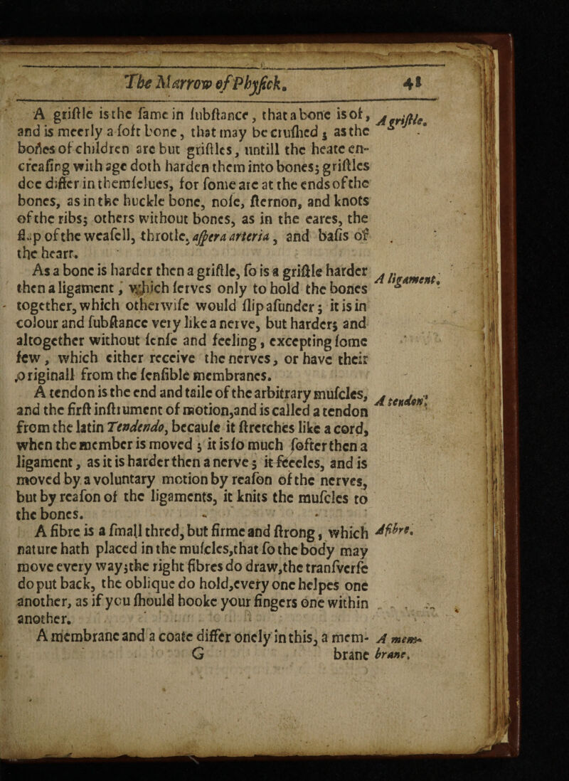 A griftle is the fame in iubftance, thatabonc is of, j and is meerly afoft bone, that may becrulhed j asthc * bofles of children are but grift Its, untill the heatcen- crcafipg with age doth harden them into boness griftlcs dee differ in themlclues, for fome ate at the endsofthe bones, as in the heckle bone, nole, flernon, and knots of the ribs; others without bones, as in the cares, the flupofthcweafcll, thiotlc. ajjtera artcria, and bafis of the heart. As a bone is harder then a griftle, fb is a griff le harder ^ then a ligament, v/Jiich ferves only to hold the bones ’&men together, which other wife would flipafundcr* it is in colour and fubftancc very like a nerve, but harder* and altogether without fenfe and feeling, excepting fome few, which either receive the nerves, or have their .o riginall from the (enfible membranes. A tendon is the end and taile of the arbitrary mufcles, . A ,, and the firftinfhumcnt of motion,and is called a tendon ’ from the latin Ttndtndo, becaufe it ftrctches like a cord, when the member is moved * itisfomuch fofterthena ligament, as it is harder then a nerve* itfccelcs, and is moved by a voluntary motion by reafon of the nerves, but by reafon of the ligaments, it knits the mufcles to the bones. - A fibre is a fmall thred, but firme and ftrong, which dfbre, nature hath placed in the mufcles,that fo the body may move every wayjthe right fibres do draw,the tranfvcrfe doputback, the oblique do hold,every one hclpeS one another, as if you fhould bookc your fingers one within another. . • ‘ A membrane and a coate differ oncly in this, a mem- A mem* G branc brum.