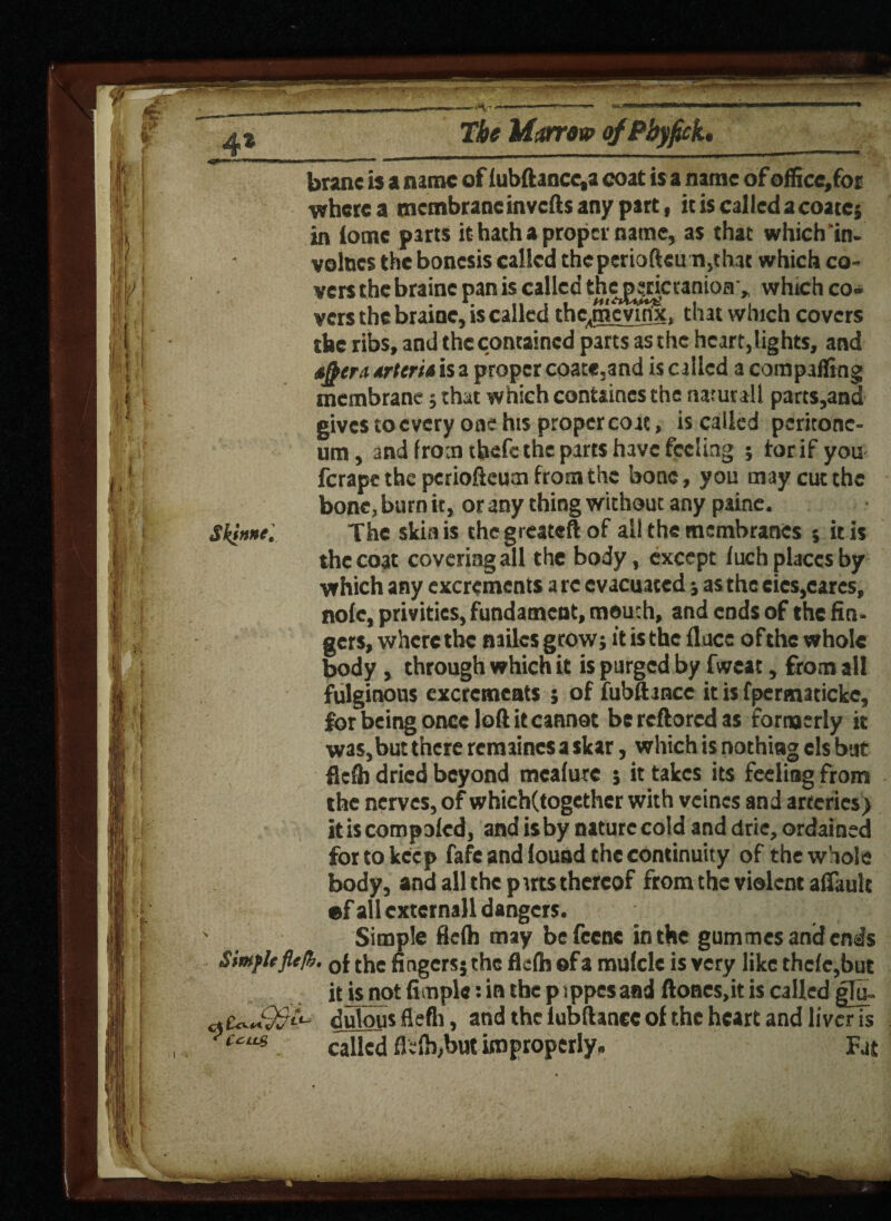 . - 1 - ~ ■ ■■ HI ■■ L i ■*'-■ 1 r ,'r - nl brane is a name of lubftancc.a coat isa name ofoffice,fof where a membrane inverts any part, it is called a coatcj in iome parts it hath a proper name, as that which'in. values theboncsis called theperiofteu n,th3t which co¬ vers the braine pan is called the pericraniony which co¬ vers the brainc, is called thcjnevirix, that which covers the ribs, and the contained parts as the heart,lights, and tfbera trterii is a proper coate,and is called a comparting membrane; that which containes the naturall parts,and givestoevery one his proper co at, is called peritone¬ um , and from tbefethe parts have feeling ; tor if you ferape the pcrioftcum from the bone, you may cut the bone, burn it, or any thing without any paine. Skinne. The skin is thegreateft of all the membranes 5 it is the coat covering all the body, except fuch places by which any excrements a re evacuated ;as the cies,cares, no(e, privities, fundament, mouth, and cods of the fin¬ gers, where the nailesgrow; it is the fluce ofthe whole body , through which it is purged by fweat, from all fulginous excrements ; of fubftancc it is fpermaticke, for being once loft it cannot bereftoredas formerly it was,but there remainesa skar, which is nothing els but flefh dried beyond mealure 5 it takes its feeling from the nerves, of which(togcthcr with veincs and arteries) it is compoled, and is by nature cold and drie, ordained for to keep fafe and found the continuity of the whole body, and all the puts thereof from the violent aiTaulc ef all cxternall dangers. Simple flefh may be feene in the gummes and ends Siuifleflefc. 0f the fingers; the flefh ©fa mulcle is very like thcfe,but it is not Ample: in the p ippes and ftoncs,it is called gTu- dulous flefli, and the lubftancc of the heart and liver is CCLt* called fi e lb,but improperly. Fat