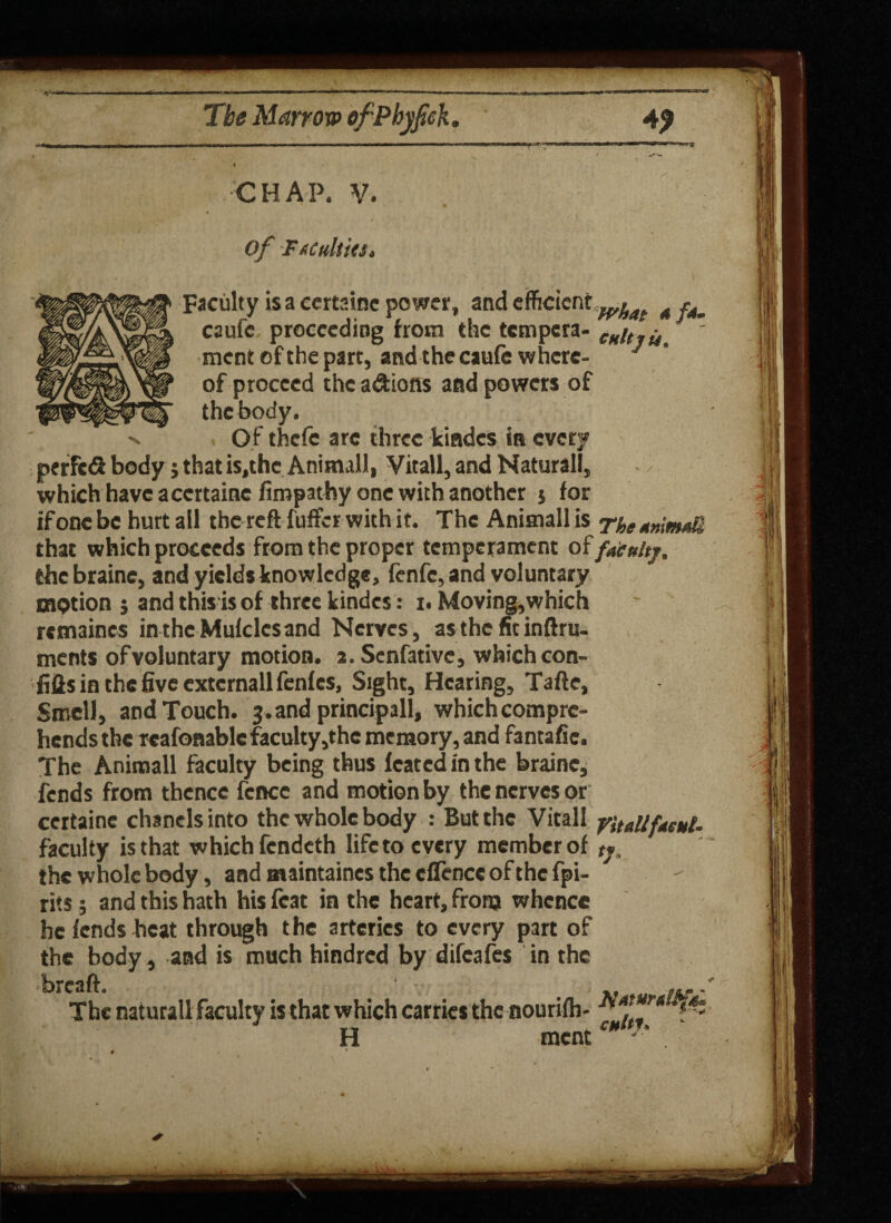 CHAP. V. Of -FitMet. Faculty is a ccrtsinc power, and efficient w^at 4 f4„ caufc, proceeding from the tempera- cnltiu. ment of the part, and the caufe where- J of proceed the a&ioffs and powers of thebody. . Of thefe arc three kiadcs is every perfefi body j that is.thc Animall, Vitall, and Natural!, which have accrtaine fimpathy one with another $ for ifonebc hurt all the reft fuffer with it. The Animallis Thetmm&U that which proceeds from the proper temperament of facuhj. the braine, and yields knowledge, fenfe, and voluntary motion } and this is of three kindcs: i. Moving,which remaines inthcMufclcsand Nerves, as the fit inftru- ments of voluntary motion. 2. Scnfative, which con- fills in the five extcrnallfenfes, Sight, Hearing, Tafte, Smell, and Touch, 'j-. and principally which comprc- hends the rcafonablc faculty,the memory, and fantafie. The Animall faculty being thus feated in the braine, fends from thence fence and motion by the nerves or certaine chancls into the whole body : But the Vitall y'tt4Uf*eul- faculty is that which fendeth life to every member of tj, the whole body, and maintaincs the cflence of the fpi- rits 5 and this hath his feat in the heart, from whence he fends heat through the arteries to every part of the body, and is much hindred by difeafes in the breaft. .... The naturall faculty is that which carries the nourifb- - H ment CH