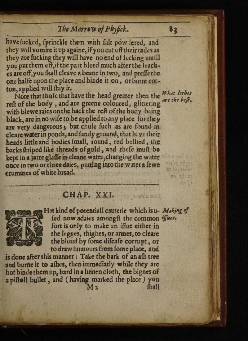 2 be Marrow oj Pbyfick, 8 j have fucked, fprinckle them with fait powlcrcd, and they wdl vomire it up againc,if you cut off their cailcs as they are fucking they will have no end of fucking untill you put them off,if the part bleed much after the leach¬ es arc off,you lhall cleave a beane in two, and preffc the one halfc upon the place and binde it on, or burnt cot¬ ton, applied will flay it. , . , Note that thofc that have the head greater then the reft of the body, and are greene coloured, glittering are * e e *’ with blewe raies on the back the reft of the body be ing black, arc in no wife to.be applied to any place forthey are very dangerous $ but chule fuch as are found in clearc water in ponds, and fandy ground, that h;vc their heads little and bodies fmall, round, red bellied, the backs ftriped like threads of gold, and tbefe muft be kept in a jarre glaffe in dcane water,changing the \»’ter once intwoor thrceda'ies, putting intothc watera fewe crumtnes of white bread. , ' CHAP. XXI. Hat kind of potential! cauferie which is u- M*ki»£ fed now adairs amongft the common fort is only to make an iflue either in the 1c gges, thighes, or armes, to clearc thcbluud by fomc difeafe corrupt, or to draw humours from fome place, and is done after this manner: Take the bark of an afh tree andburneit to afhes, then immediatly while they ate hot binde them up, hard in a linnen cloth, the bignes of a piftoll bullet, and (having marked the place) you M 2 ‘ fhall