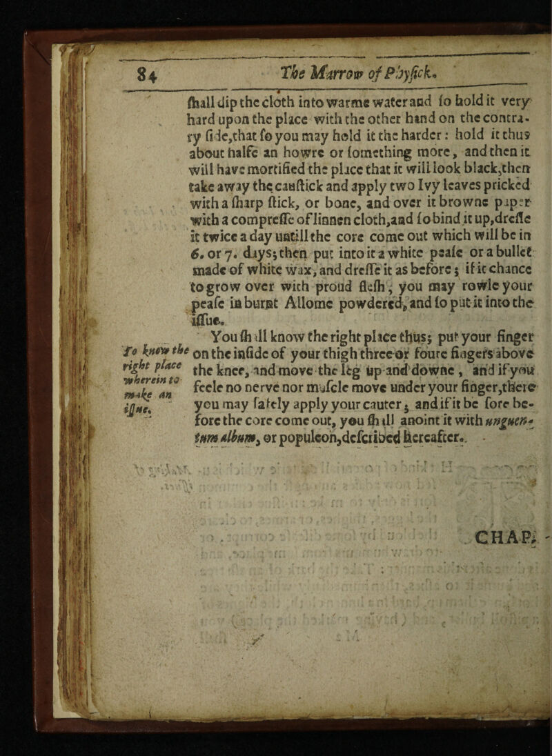 fhall dip the cloth into warms water and fo hold it very hard upon the place with the other hand on the contra- ry (ide,that fo you may hold it the harder: hold it thus about haife an howre or loinething more, and then it will have mortified the place that it will look black?thcn take away thccauftick and apply two Ivy leaves pricked with a (harp flick, or bone, and over itbrowne pip;r with a compreflc oflinnencloth,aad fobind .it up,drcfle it twice a day uatillthe core come out which will be in 6. ory. djysjthcn put into it a white peafe orabullct made of white wax, and drcfTe it as before; if it chance to grow over wich proud fkfh, you may rowlc your peafe in burnt Allomc powdered, and fo put it into the iffue. ■' ’■ You fh ill know the right pi ice thus; put your finger fo htm the on the infidc of your thigh three or foure fingers above right place {^e kncfj -md move the leg Up and downe, and ifyott Z ‘u’VJ feele no nerve nor mufclc move under your finser.thcte ijjac. you may apply your cautcr. andUr it be lore be¬ fore the core come out, youfii tl) anoint it with unguen* turn tlbum> or popukoh^defer ibed hereafter*. ft V*Y ft i'