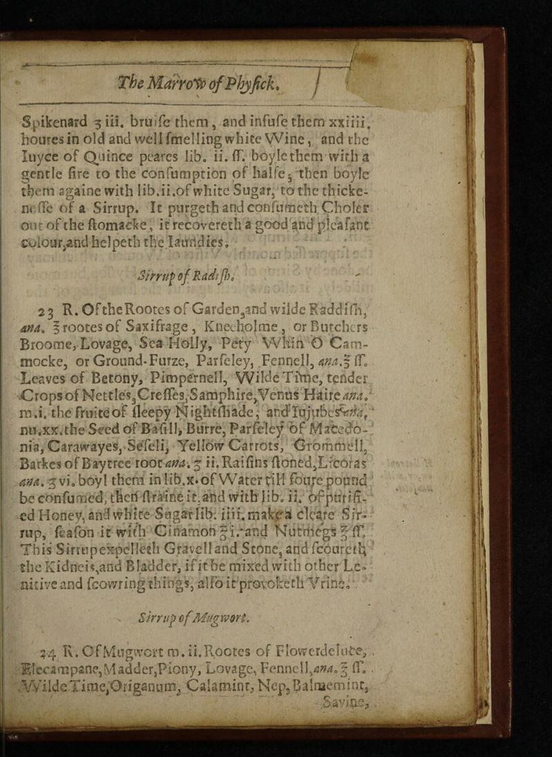 % V / r - * Spikenard 5ili. bruifethem-, andinfufethemxxiiii, houresin old and well fmelling white Wine, and the luyce of Quince pearcs libo ii.iT. boyle them with a gentle fire to the confumption of halfe^ then boyle them sgaine with iib.ii.of white Sugar3 to the thicke¬ ns ffe of a Sirrup. It purgethandconfumeth Chokr out of the ftomadce, it recovereth a good and' pica fane colour^hd helpeth the lamldies, w * ' \ ■ C * i • * , ‘ t Sirrup of Radifl0  / ', • .... ' „ t- . ‘ ; * . ’ 23 R. OftheRootes ofGarden9andwildc RaddilTi, ana. § rootes of Saxifrage , Kneeholme, or Butchers Broome, Lovage, Sea Holly, Pety Whin O Cam- mocke, or Ground-Furze, Parfeley, Fennell, am.jj (T. Leaves of Betony, Pimpernel!, Wilde Time, tender Crops of NettleSjCrefresvSamphire,Venus Haire-w^, m .i, the fruiteof fleepy Nightfbade ; and'lujiibcsvj&s, mi,xx.the Seed of Bafill, Btirre, Parfeley of Macedo¬ nia, Carawayes, Sefeli, Yellow Carrots, Grommeil, Barkes of Bay tree root am. ■$ ii. Raifins floned,Licoras nip, feafon it with Cinamon-i/aod Nutmegs f(F, This Sirmpexpclieth Gravel! and Stone, andfeouretb the Kidn(eis,and Bladder, if ic he mixed with other Le¬ nitive and feowring things, alio it provoketh Vrine, - Sirrup of.Mugwort. 24 R. OfMngwort m.ii.Roctes of Flowerdeiute, : Elecampane,Madder,Piony, Lovage, Fennell,am. 3 IT.. , Wilde Time,'Origanum* C ala mint, Hep, B alnaem i at, ■ .Savins, ana. jvi.boy! them m hb.x.of Water till route pound be confirmed, then ftraine it. and with lib, ii. of purifi¬ ed Honey, and white Sugar lib. iiii.rnakea clcare Sir-