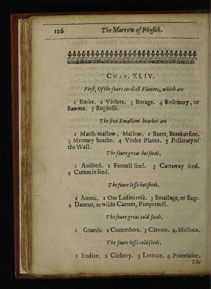 ' C h a p. XL IV. I , \ ■ ; V ‘ ' i • i ‘ ‘ : i « Firjl^ Ofthefourccordiali Flowers, which are i Roles. 2 Violets. 3 Borage. 4 Rofemary 5 or Bawme. 5 Bugloffe. The five Emollient hearhes are 1 Marfh mallow, Mallow. 2 Beets, Brankurfine. q Mercury hearbe. 4 Violet Plants. 5 Pellitaryof the Wall. T hefeuregreat hot feeds f 1 Anifeed. 2 Fennell feed. 3 Carraway feed. 4 Cummin feed. T he four e lejfe hotfeeds. * . V i Amroi. 2 Our Ladies rofe. 3 Smallage,or Sage. 4 DaucuSjOrwilde Catrets, Pimpernell. The foure great cold feeds, - 1 Gourds. 2 Cucumbers. 3 Citrons. 4. Mellons. The foure lejfe cold feeds. *1 1 Endive. 2 Cicbory. 3 Lettuce. 4 Porcelaine. The