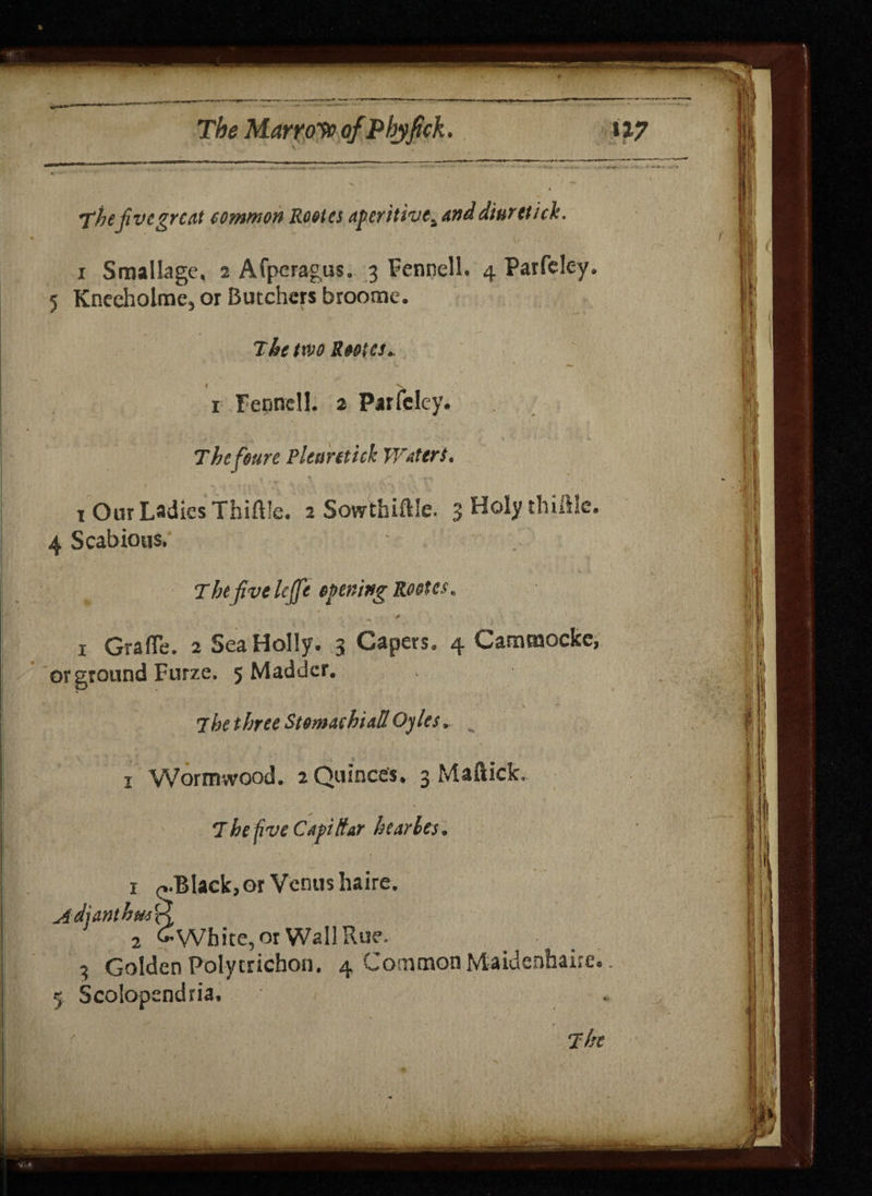 The five greet common Roetes aperitive. end diurttick. i Smallage. 2 Afperagus. 3 Fennell. 4 Paifcley. 5 Kneeholme, or Butchers broome. The two Root a. t N i Fepncll. 2 Parfcley. Thefoure P leave tick Water! * 1 Our Ladies Thiftle. 2 Sowthiflle, 3 Holy thilllc.- 4 Scabious. The five Icffe evening Rootcs\ — 0 1 GrafTe. 2 Sea Holly* 3 Capers, 4 Carnmockc, or ground Furze. 5 Madder. 7he three StomachiaU Gyles. 1 Wormwood. 2 Quince's. 3 Maftick, The five CafiHat heavies* Adianthm ft 2 ^ White, or Wall Rue. 3 Golden Poly trichon. 4 ommon Miaidenhaire* 5 Scolopendria,