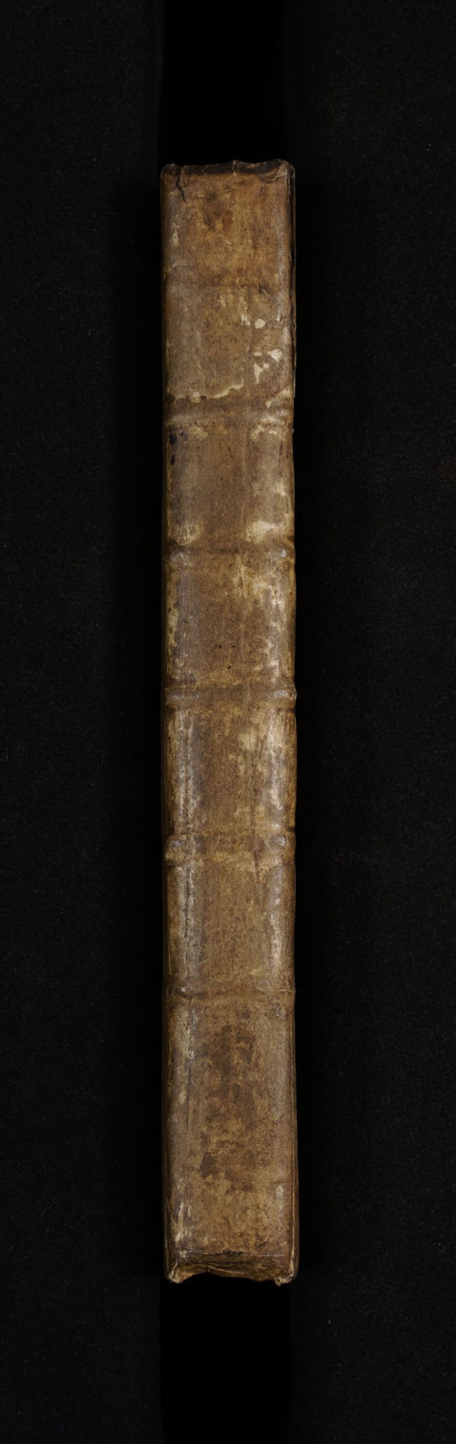 No text description is available for this image