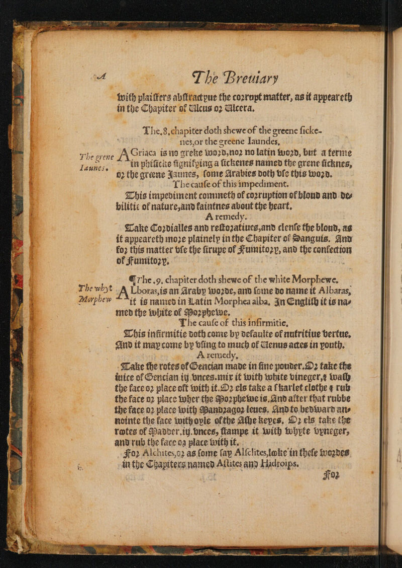 The grene launes. Thewhyt Morphew The Breuary with plaitfers abſtractyue the coꝛrupt matter, as it appeateth in the Chapiter of Ulcus 02 Ulcera. The. 8. chapiter doth shewe of the greene ſicke- nes, or the greene Lathes, Ace. is no greke word, noꝛ no latin word, but a terme in philicke fignifping a ſickenes named the arene ficknes, oꝛ the greene Jamies, ſome Arabies doth bfe this word. The cauſe of this impediment. This impediment commeth of corruption ef blond and. de bilitic of nature, and kaintnes about the heart. A remedy. Take Coꝛdialles and reſtoꝛatiuee, and clenſe the blond, ag it appeareth moze plainely in the Chapiter of Sanguis. And of Fumitozy, | @ rhe .9, chapiter doth shewe =f the white Morphewe, 8 an Araby woꝛde, and {ome do name it Albaras, it is named in Latin Morphea alba. In Engliſh it is nas med the white ol Poꝛphewe. The cauſe of this infirmitie. This infirmitie doth come by delaulte of nutritiue vertue. And it map come by bing to much of Uenus actes in pouth. A remed. Take the rotes of Gencian made in fine pouder. Oz take the inice of Gencian iij vnces. mix it with white vineger. wall the face oꝛ place off with it. Oꝛ cls take a ſkarlet clothe ¢ rub the face oꝛ place wher the Moꝛphewe is. And alter that rubbe nointe the face with ople of the Aſhe kepes, D2 els take the rotes of Padder.iij. vnces, ſtampe it with whyte vyneger, and rub the face oz place with it. in the Chapiters named Altites and Hidroips. a | 92 5W„%——P—PPT000—T0TT—TP—PTP—TP—V—T—V—T———— emareenon, eomereemeremnreenene