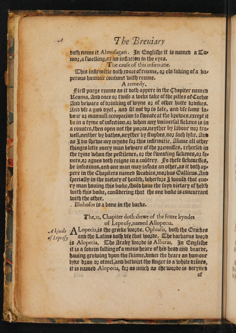 * 7 ESTA we - ai ti ait The Breutary doth name it Almufagari. In Engliſhe it is named a Tu⸗ moꝛz, a ſwelling, oꝛ an intflacion in the eves, The cauſe of this infirmitie. This infirmitic doth come of reume, oz els taking ola va⸗ perous humour coniunct with reume. A remedy, Firk purge reume as it doth appere in the Chapiter named Neuma. And once oꝛ twiſe a weke take of the pilles of Cochee And beware of drinking of wpne oz of other hotte deinkes. And ble a god dpet, and fit not vp to late, and vſe ſome las be in a tyme of inkection, oꝛ whan any vniuerſal ſicknes is in a countce, then open not the poaes, neyther by labour noꝛ tras uell, neither bp bathes, nepther by ſtuphes, noꝛ ſuch lpke. am thinges lette euerp man beware ol the pꝛemiſſes, reherſed in the tyme whan the pettilence, o2 the ſweating ſickenes, oꝛ fee uers, oꝛ agues doth reigne in a coũtrey. Fo theſe ſickeneſſes, be infectious, and one man may inkecte an other, as it doth ape ry man hauing this boke, ſhuld haue the ſayd dietary of helth with this bake, conſidering that the one boke ts concurrant with the other. - Blohofos is a bone in the backe. The. i2, Chapiter doth shewe of the foure kyndes of Leprofy,named Allopecia. Lopecia,is tho greeke woꝛde. Ophiaſis, both the Grekes and the Latins doth ole that woꝛde. The barbarus woꝛzd is Alopecia, The Araby woꝛde is Albaras, In Engliſhe it is a ſodein falling ol a mans heare of his head and bearde, hauing growing vpon the ſkinne, vnder the heare an humour lwke ban oz otmel, and bet wirt the finger is a white dꝛines it is named e 5 as much as the woꝛde is der pued ol