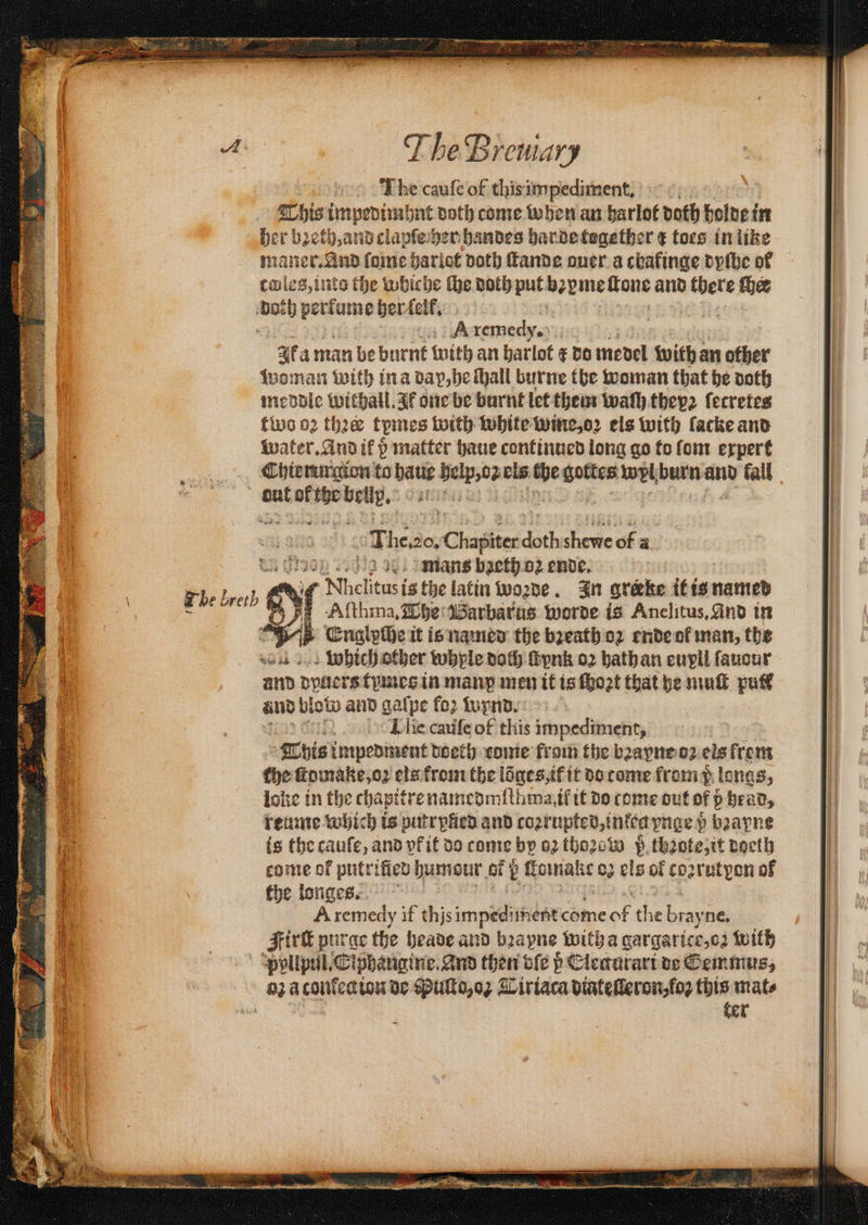 TheBreniary * wie The cauſe of this impediment. This impedimhnt doth come when an harlot doth bolde i in her bꝛeth, and clapſe her handes har de together ¢ toes in like tles, into the whiche the doth put N Rane and thete cher ‘both sans her elf. a A remedy. Ak aman be burnt with an harlot ⁊ do tenet with an other woman with ina dap, he ſhall burne the woman that he doth meddle withall. Ir one be burnt let them wath they2 ſecretes two 02 thee temes with white wine, oꝛ els with ſacke and water. And ik p matter haue continued long go to fom expert : = 2 N te A 5 Thees. Chapiteed doth ip 611 2 8 WIIG mans baeth oꝛ ende. 5 of Nhelituei is the latin woꝛde. In grerke it is named 1 pe Aſthma. The Warbarus worde is Anelitus. And in LEnglyche it is named the bꝛeath oꝛ ende ol man, the which other whyle doch ſtynk o2 hath an eupll faucur and dyuers tymes in many men it is ſhoꝛt that he mull put and blow and galpe fo2 wu rnd. I le cauſe of this impediment, | This impedment doeth tome from the bꝛayne oz eis rem the ſtomake, oꝛ els from the lõges, it it do tome fram} longs, loke in the chapitre namedmſthma ik it do come out of p brad, reume which is putrpfied and cozrupteb, infen vnge p baapne is the caufe, and yt it do come by oz tho2cw 5 thꝛote, it doelh come ok putri ed humour ef b Goalie os els of coꝛrutyon of the longes. A remedy if th js impediiniene come te he brayne, Firſt purge the heade and bꝛayne with a gargarice, o: with pPypllpul. Ciphangine. And then die ß Eleaurari de Semmus, 92a confection de Puſto, o; Liriaca diateſleron, ſoꝛ this mate f ter EEE =